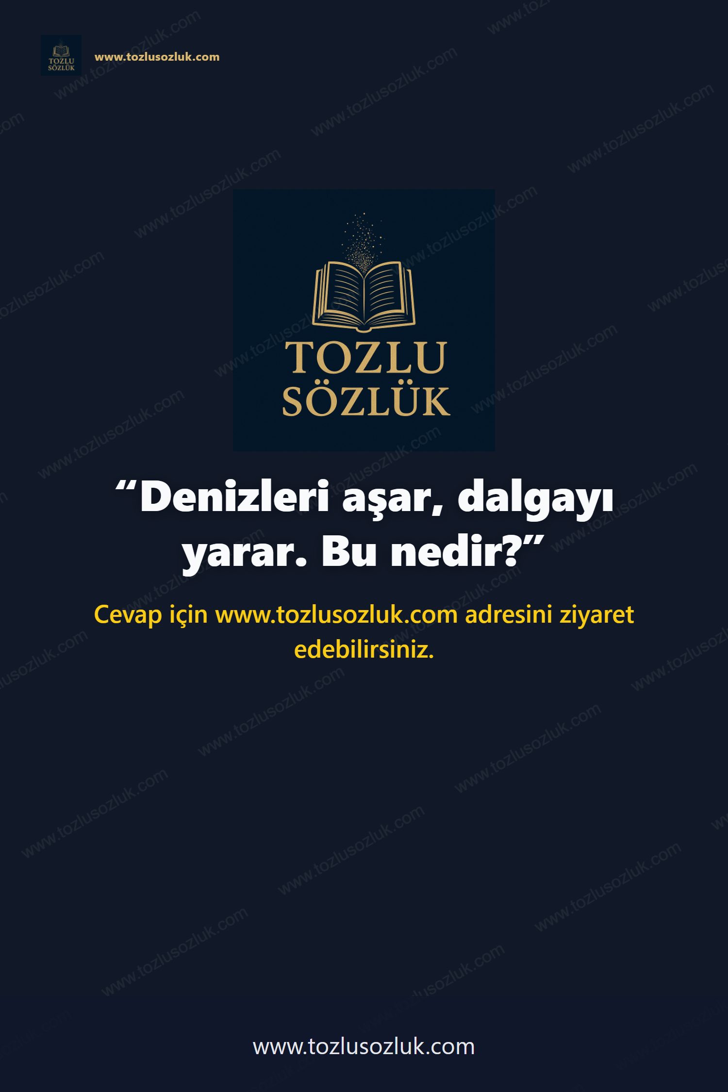 Denizleri aşar, dalgayı yarar. Bu nedir? Pinterest görseli