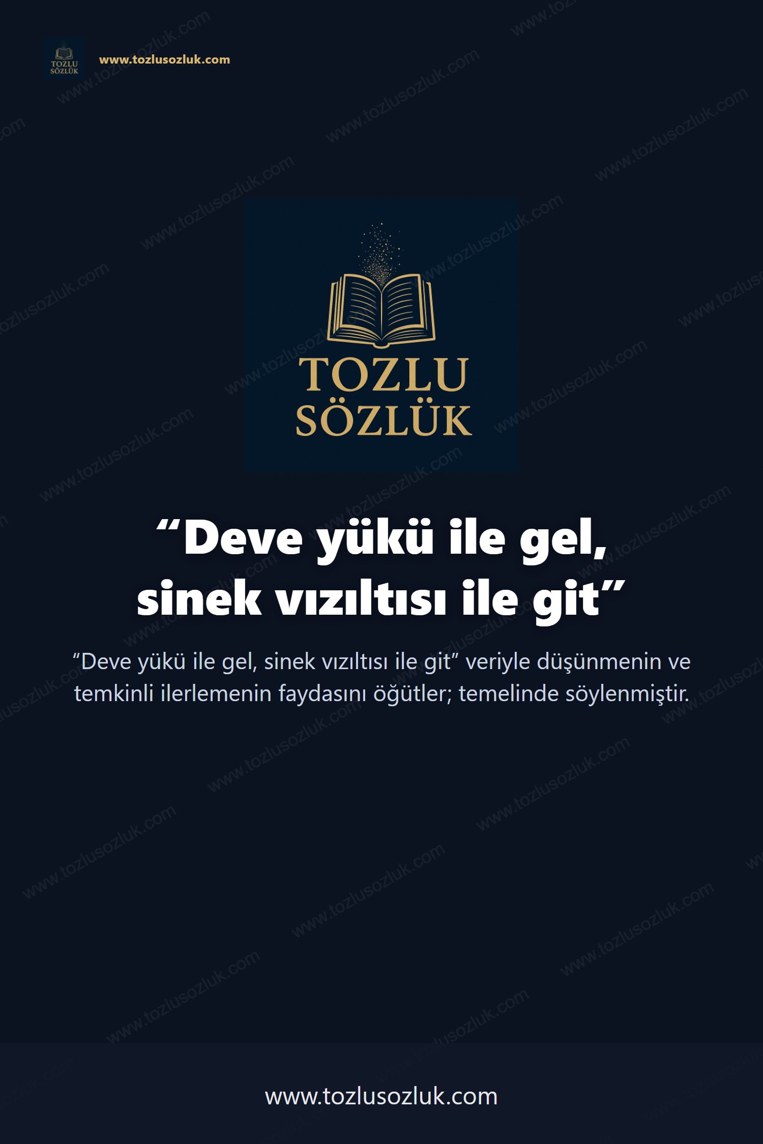 Deve yükü ile gel, sinek vızıltısı ile git Pinterest görseli