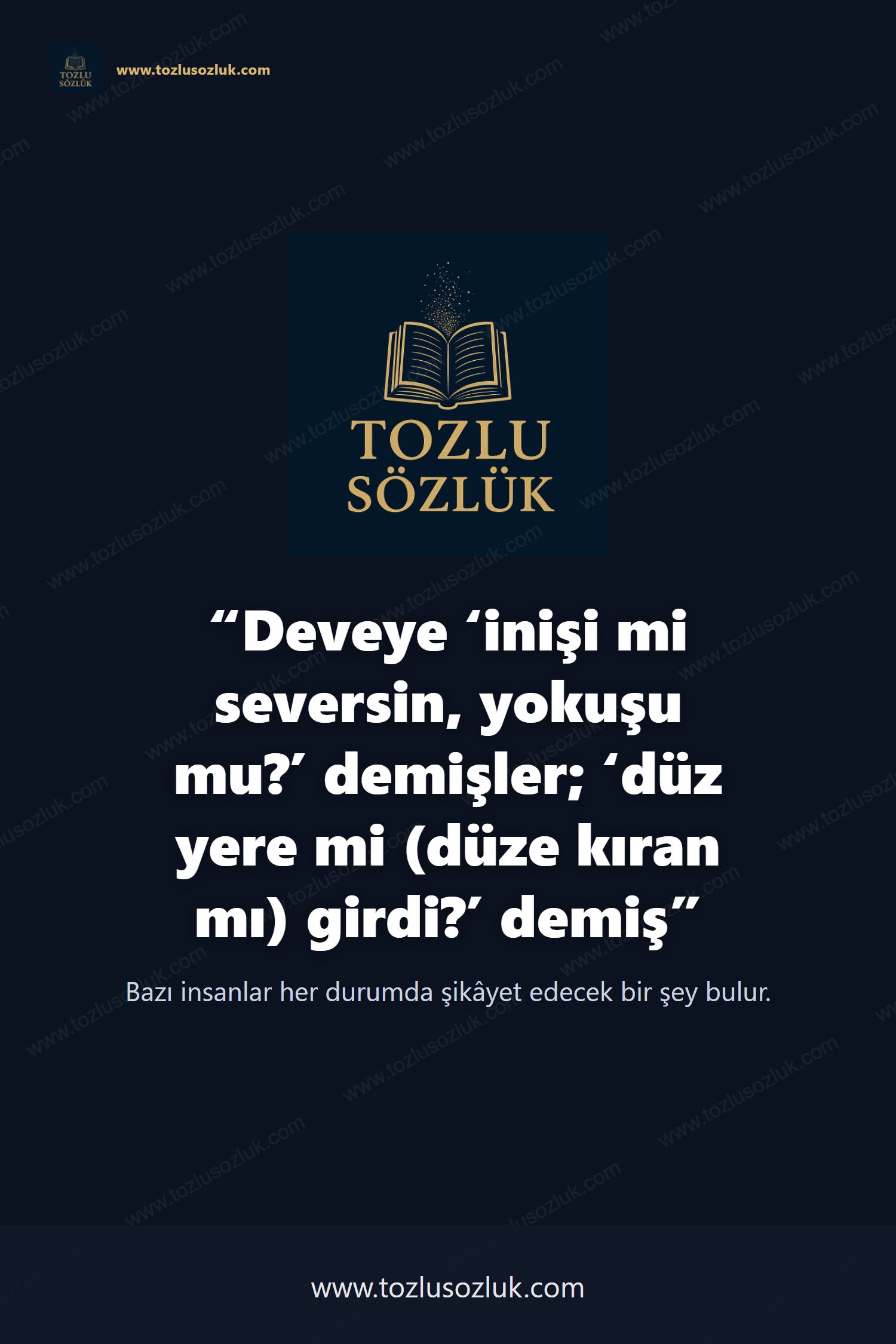 Deveye ‘inişi mi seversin, yokuşu mu?’ demişler; ‘düz yere mi (düze kıran mı) girdi?’ demiş Pinterest görseli