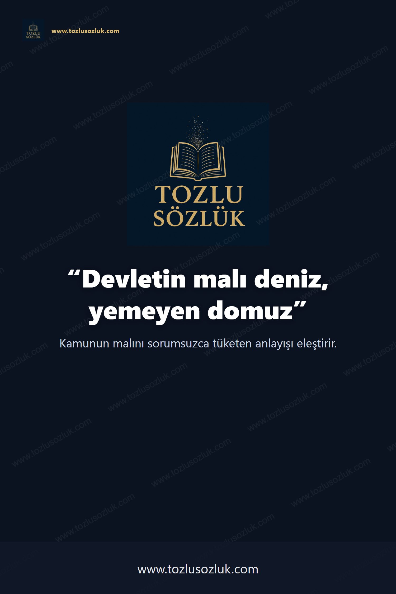 Devletin malı deniz, yemeyen domuz Pinterest görseli