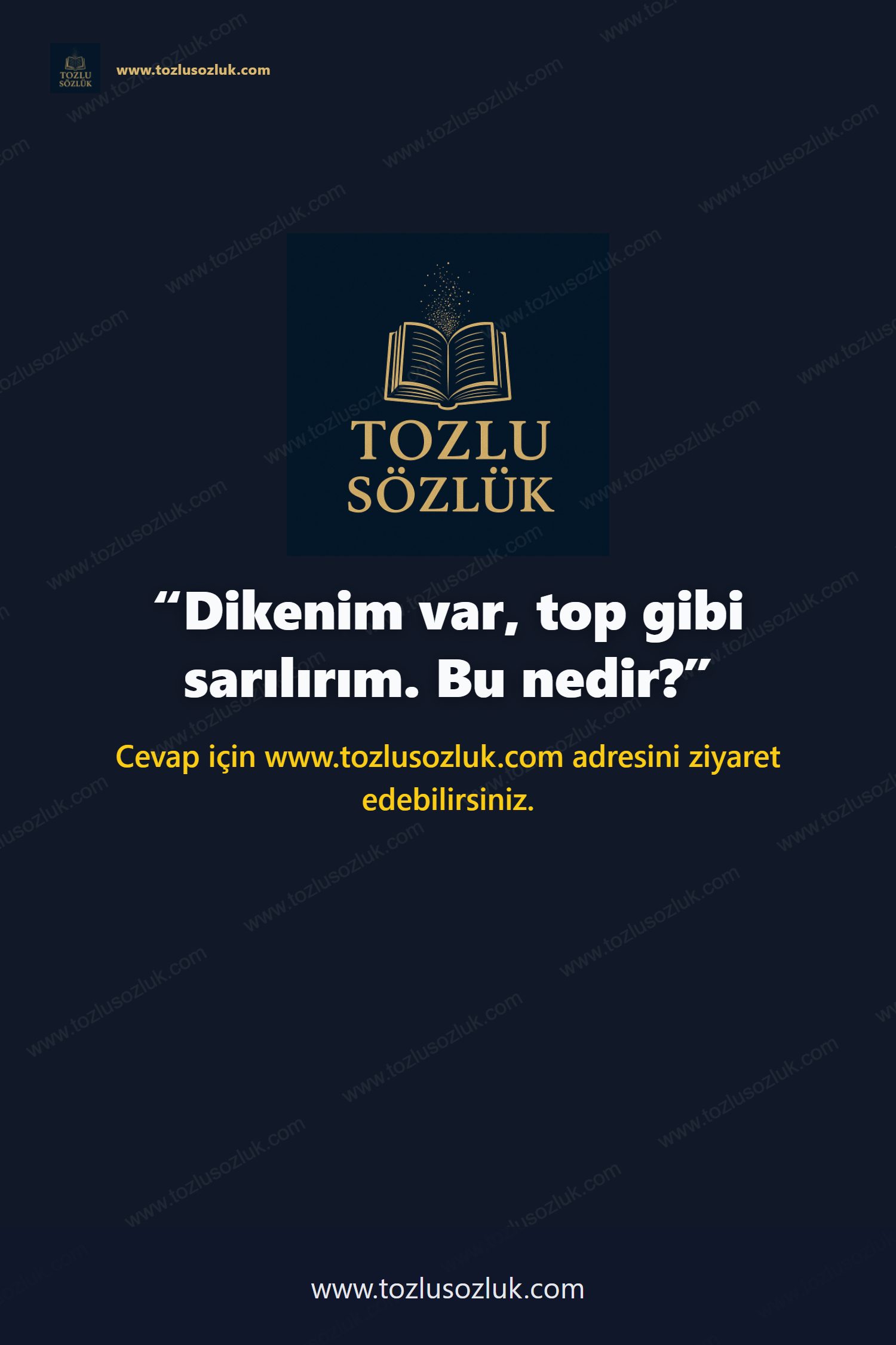 Dikenim var, top gibi sarılırım. Bu nedir? Pinterest görseli