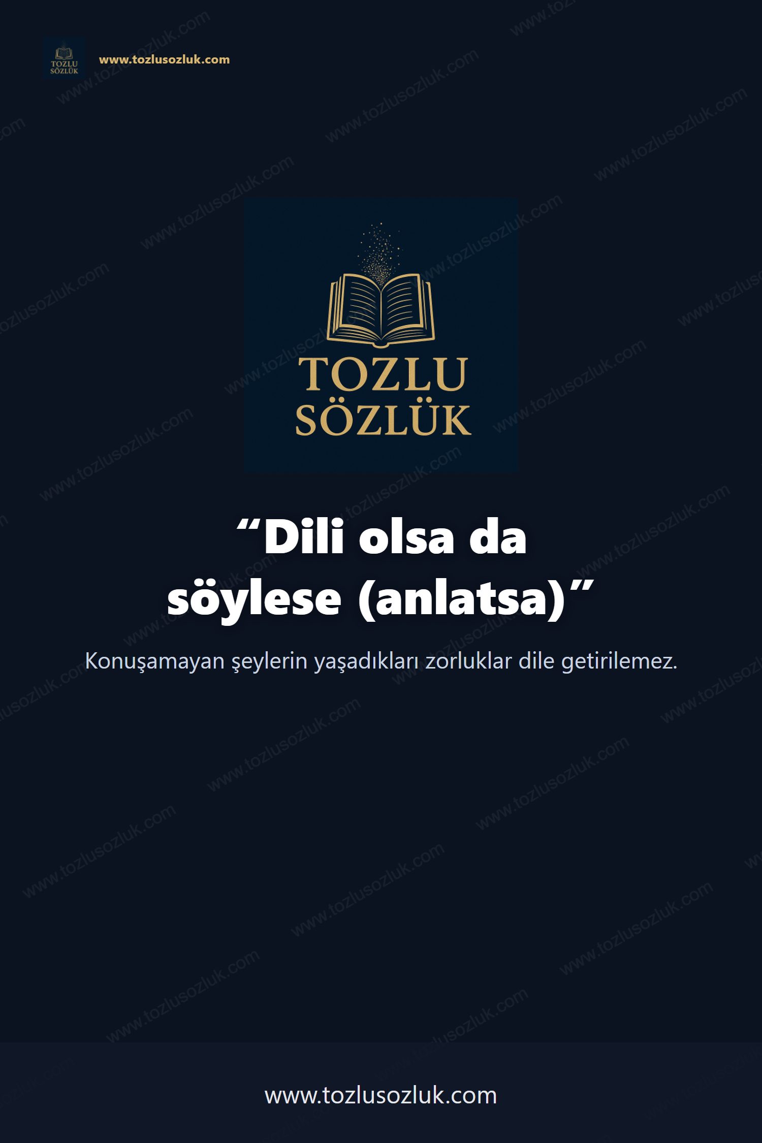 Dili olsa da söylese (anlatsa) Pinterest görseli