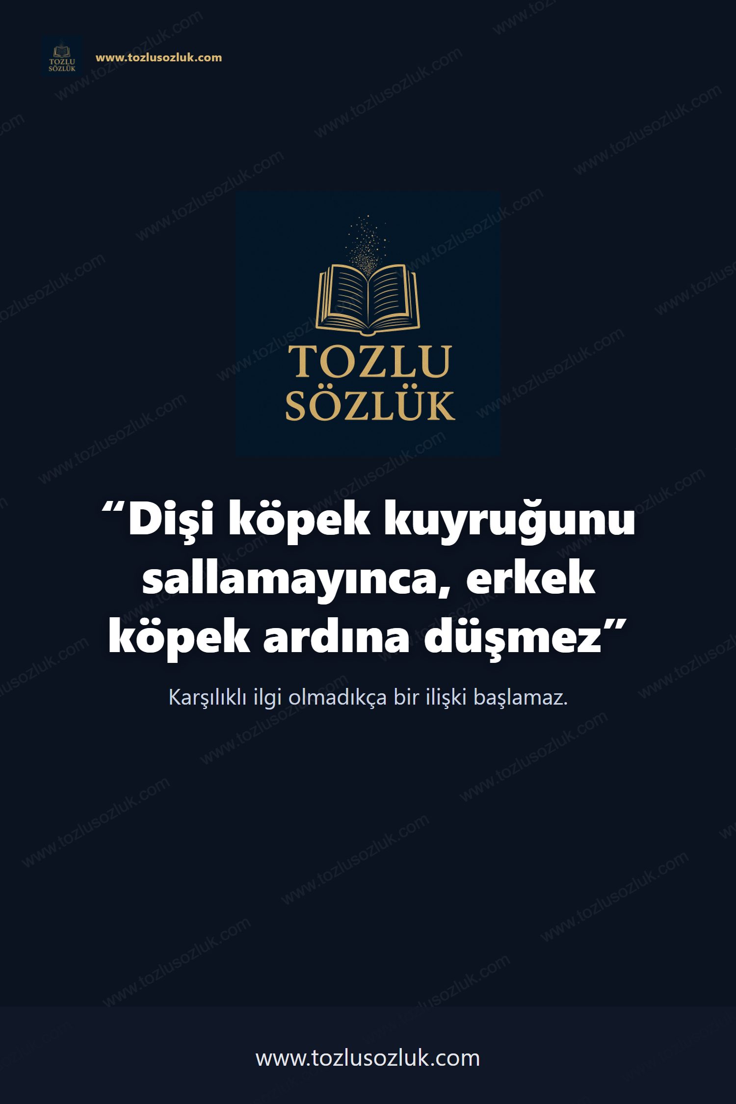 Dişi köpek kuyruğunu sallamayınca, erkek köpek ardına düşmez Pinterest görseli