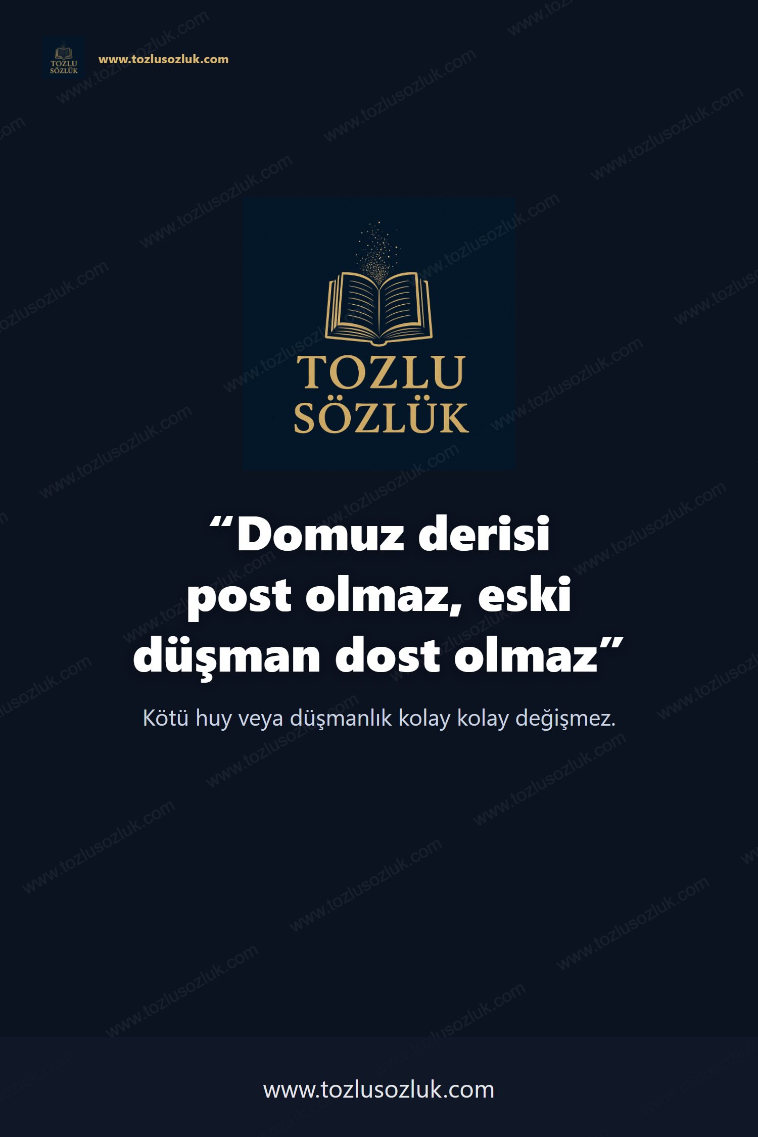Domuz derisi post olmaz, eski düşman dost olmaz Pinterest görseli