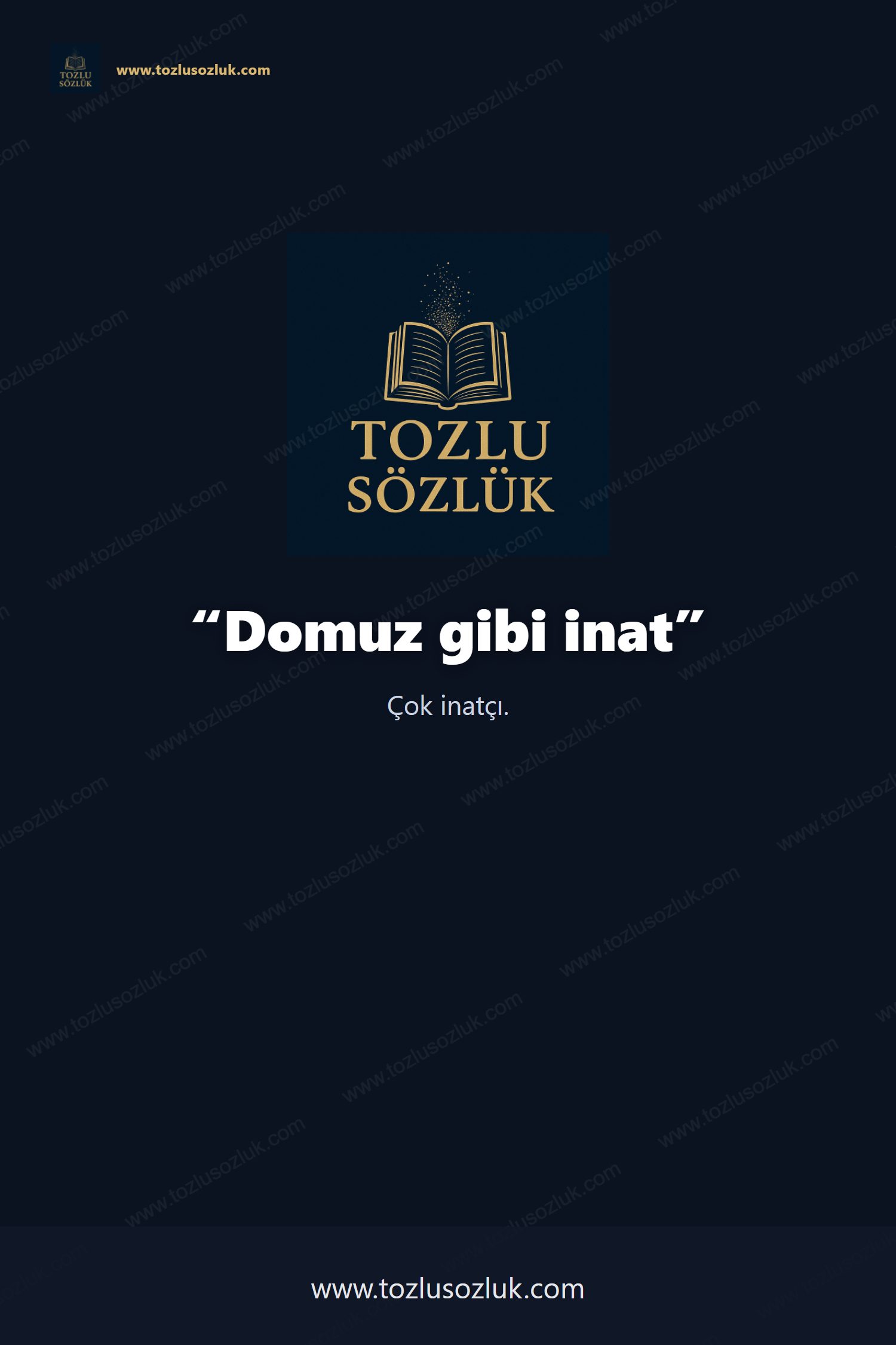 Domuz gibi inat Pinterest görseli