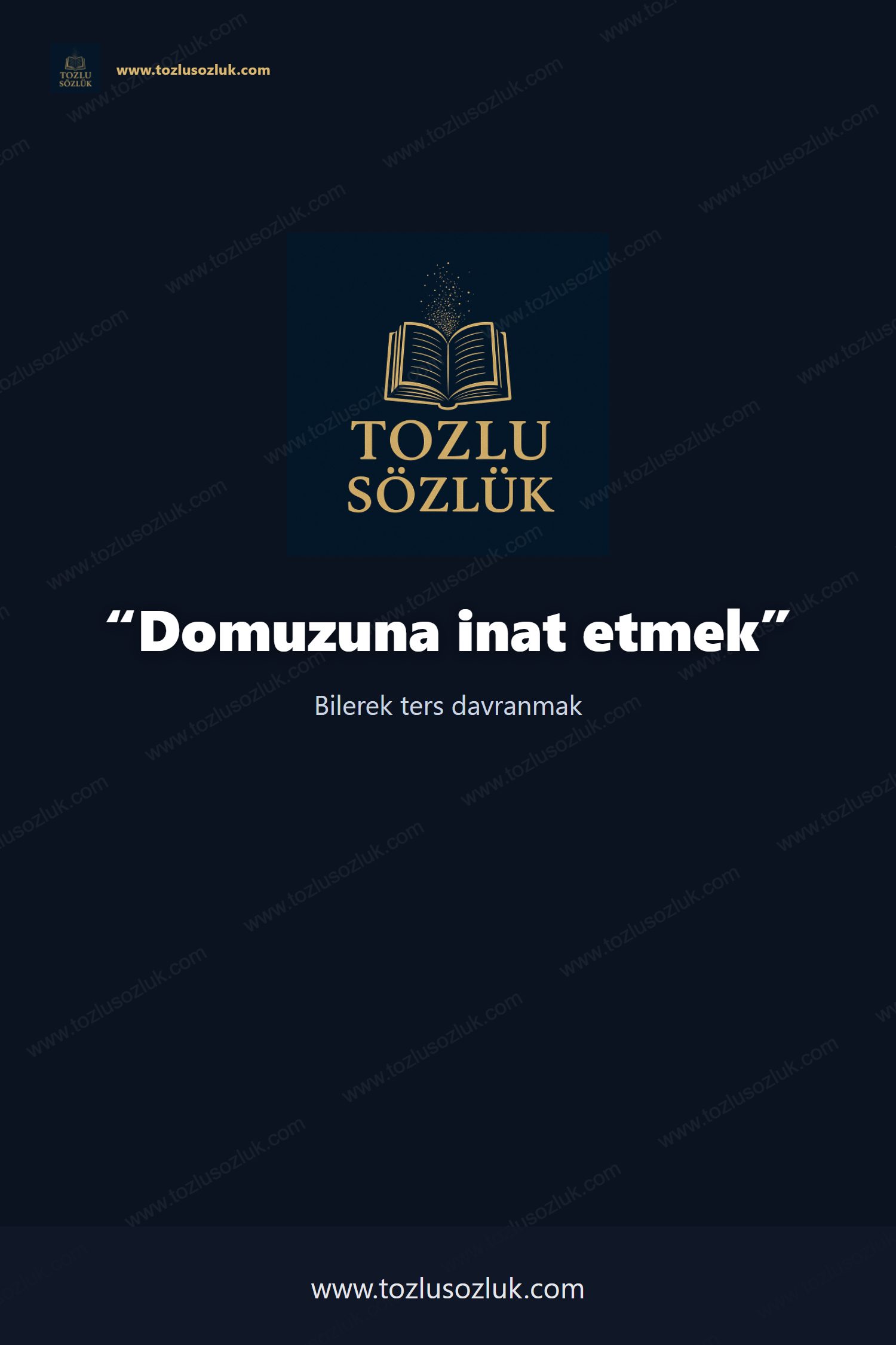 Domuzuna inat etmek Pinterest görseli