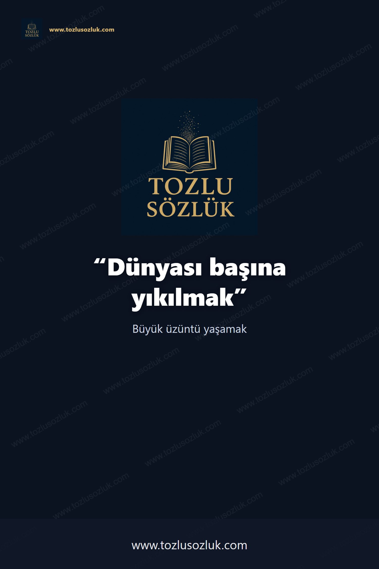 Dünyası başına yıkılmak Pinterest görseli