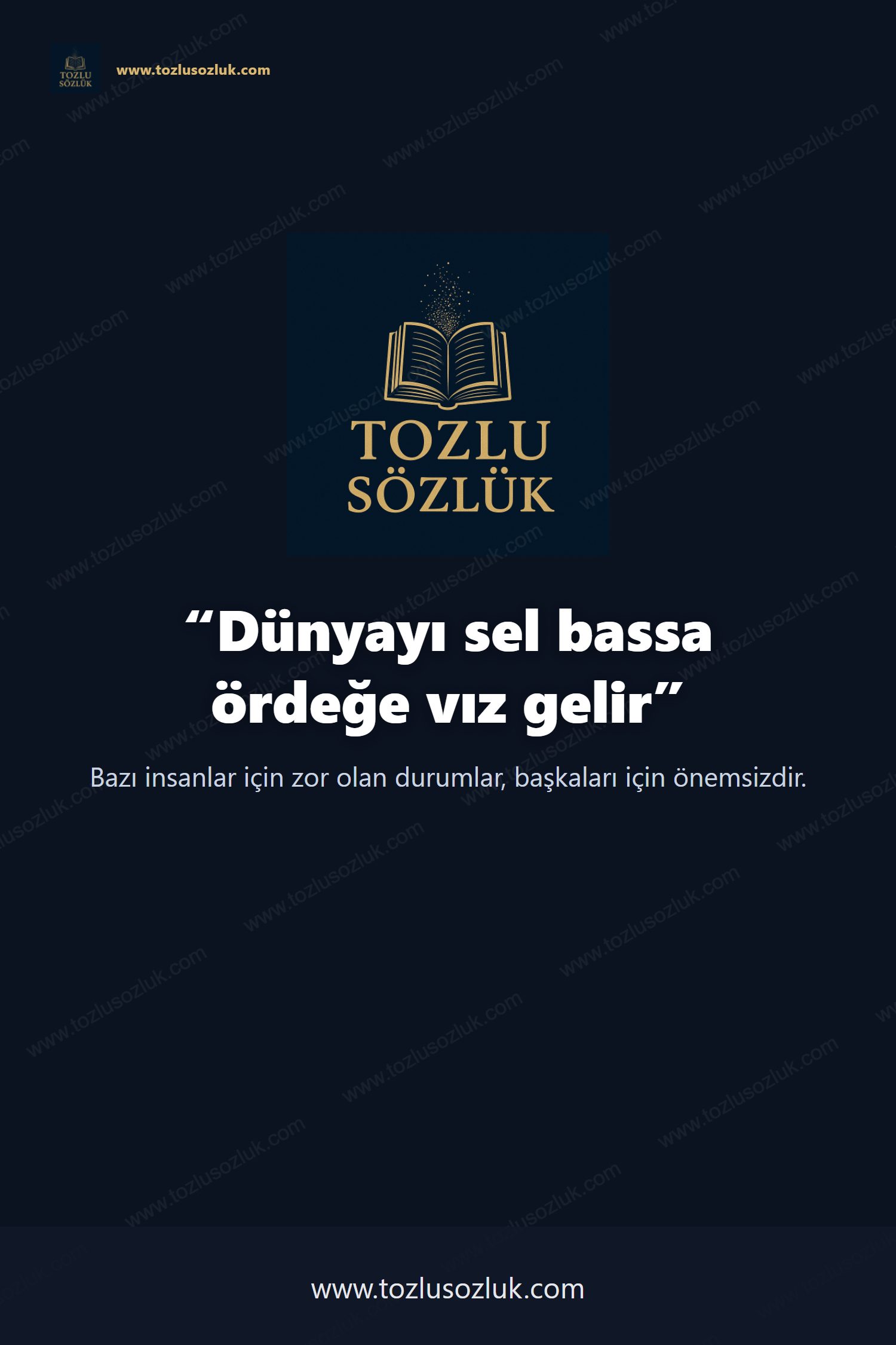 Dünyayı sel bassa ördeğe vız gelir Pinterest görseli