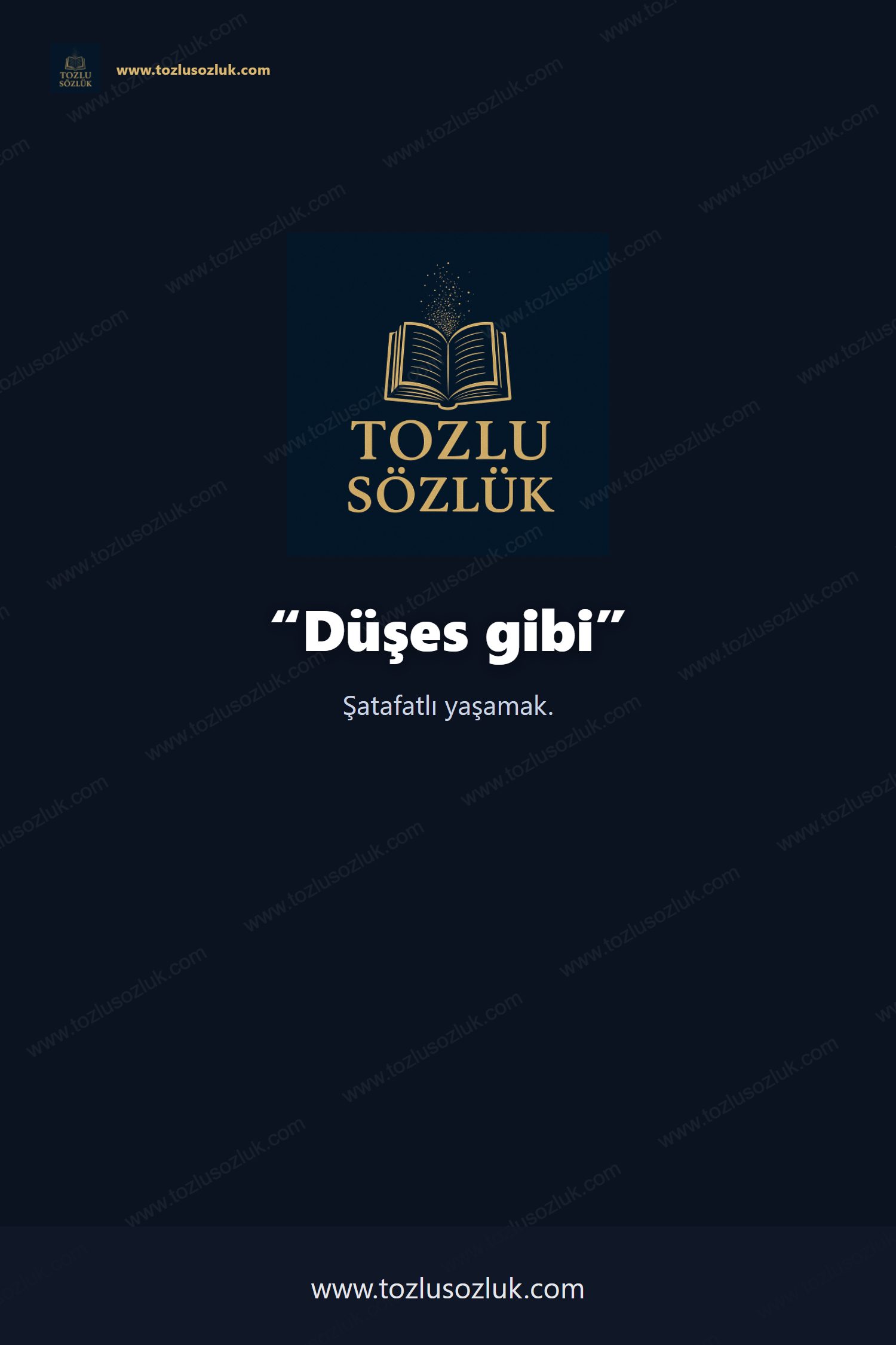 Düşes gibi Pinterest görseli