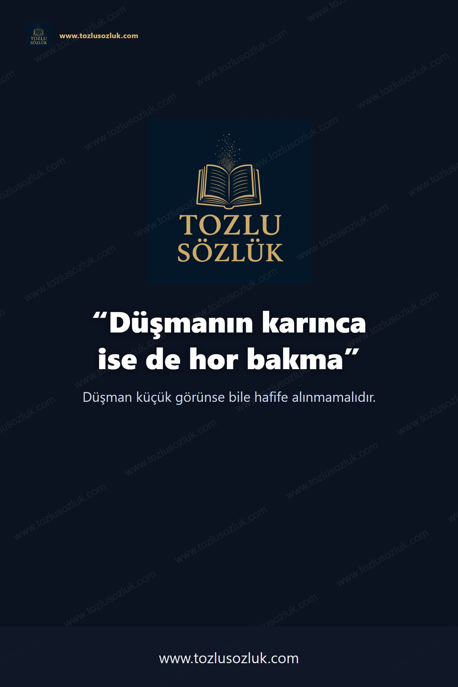 Düşmanın karınca ise de hor bakma Pinterest görseli