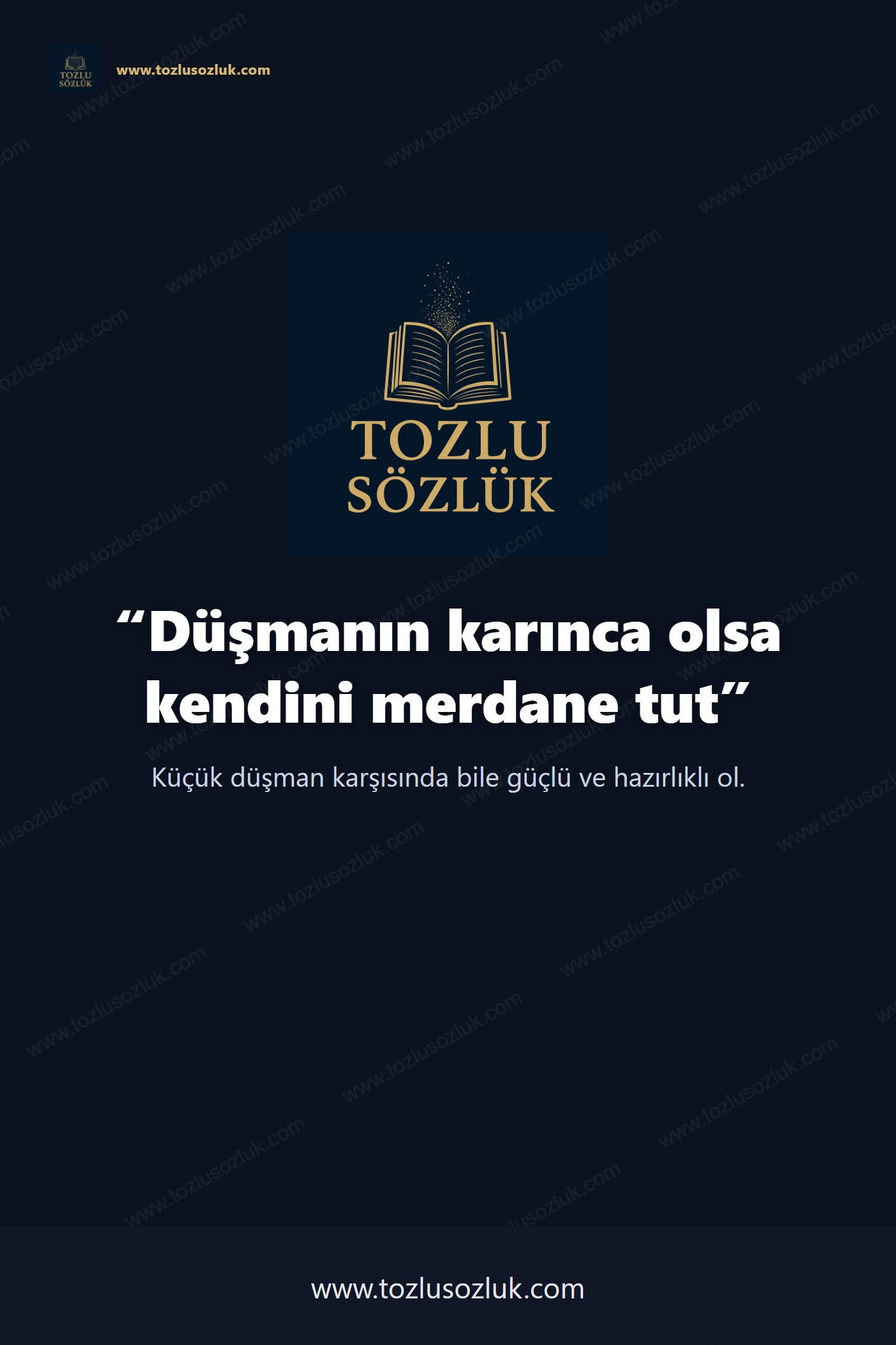 Düşmanın karınca olsa kendini merdane tut Pinterest görseli