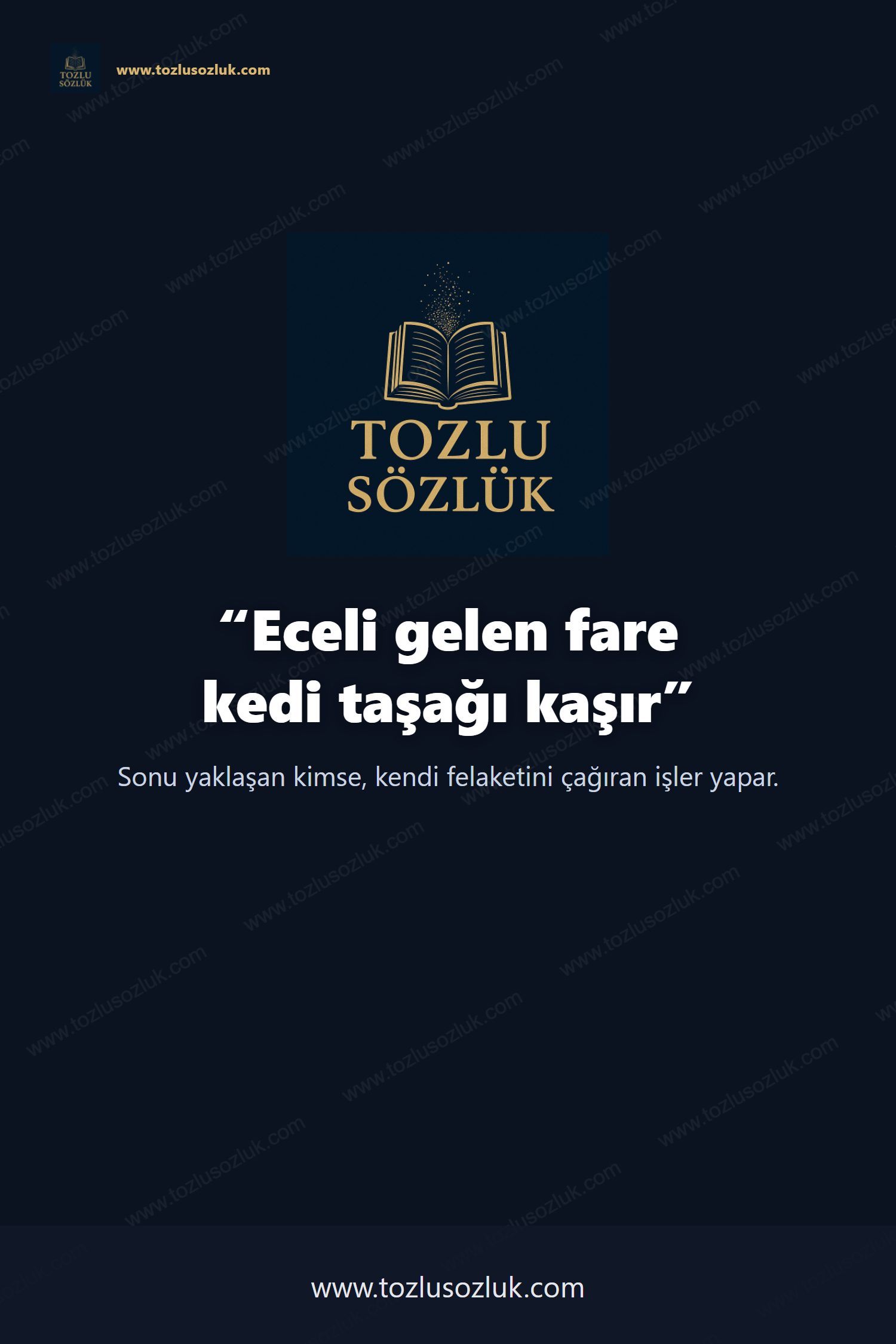 Eceli gelen fare kedi taşağı kaşır Pinterest görseli