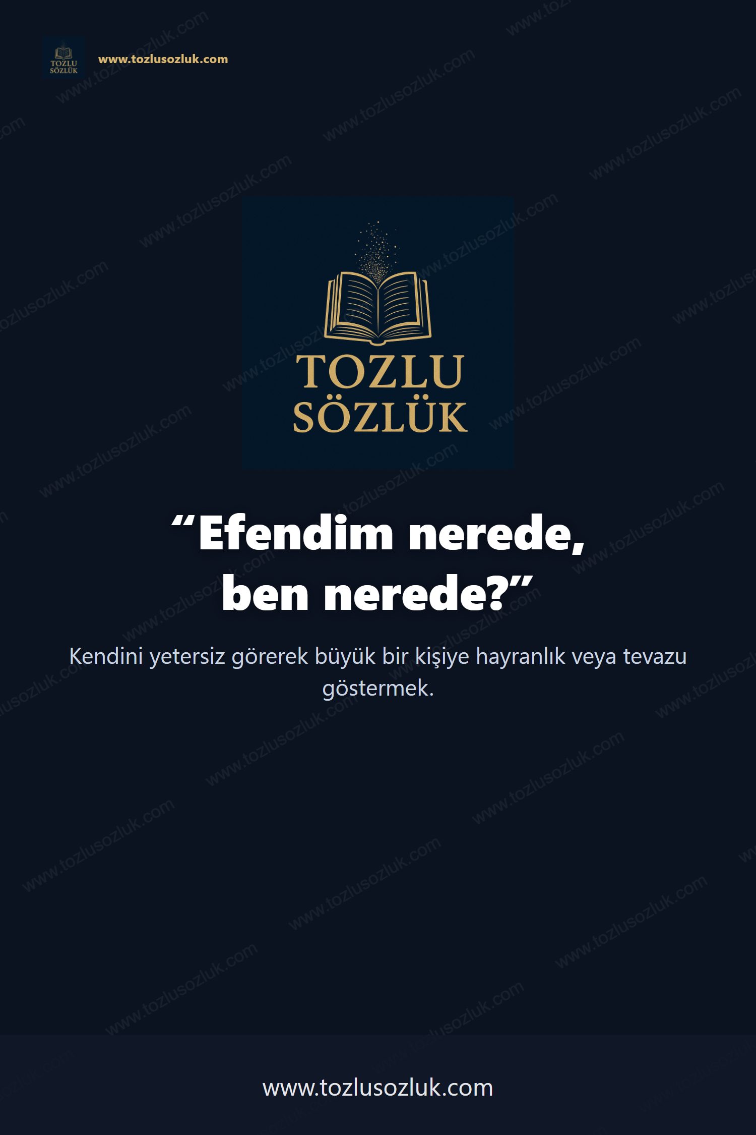 Efendim nerede, ben nerede? Pinterest görseli