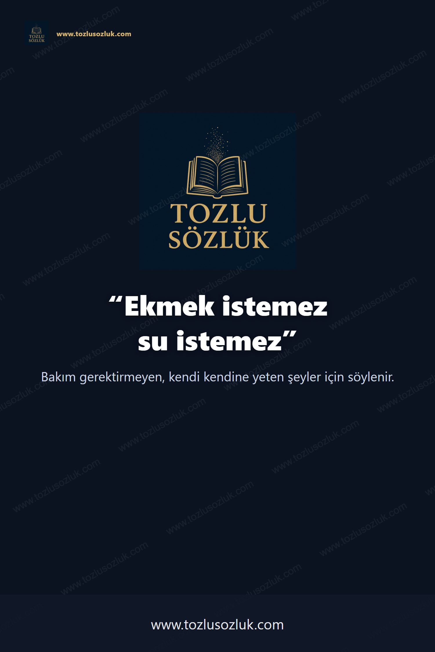 Ekmek istemez su istemez Pinterest görseli