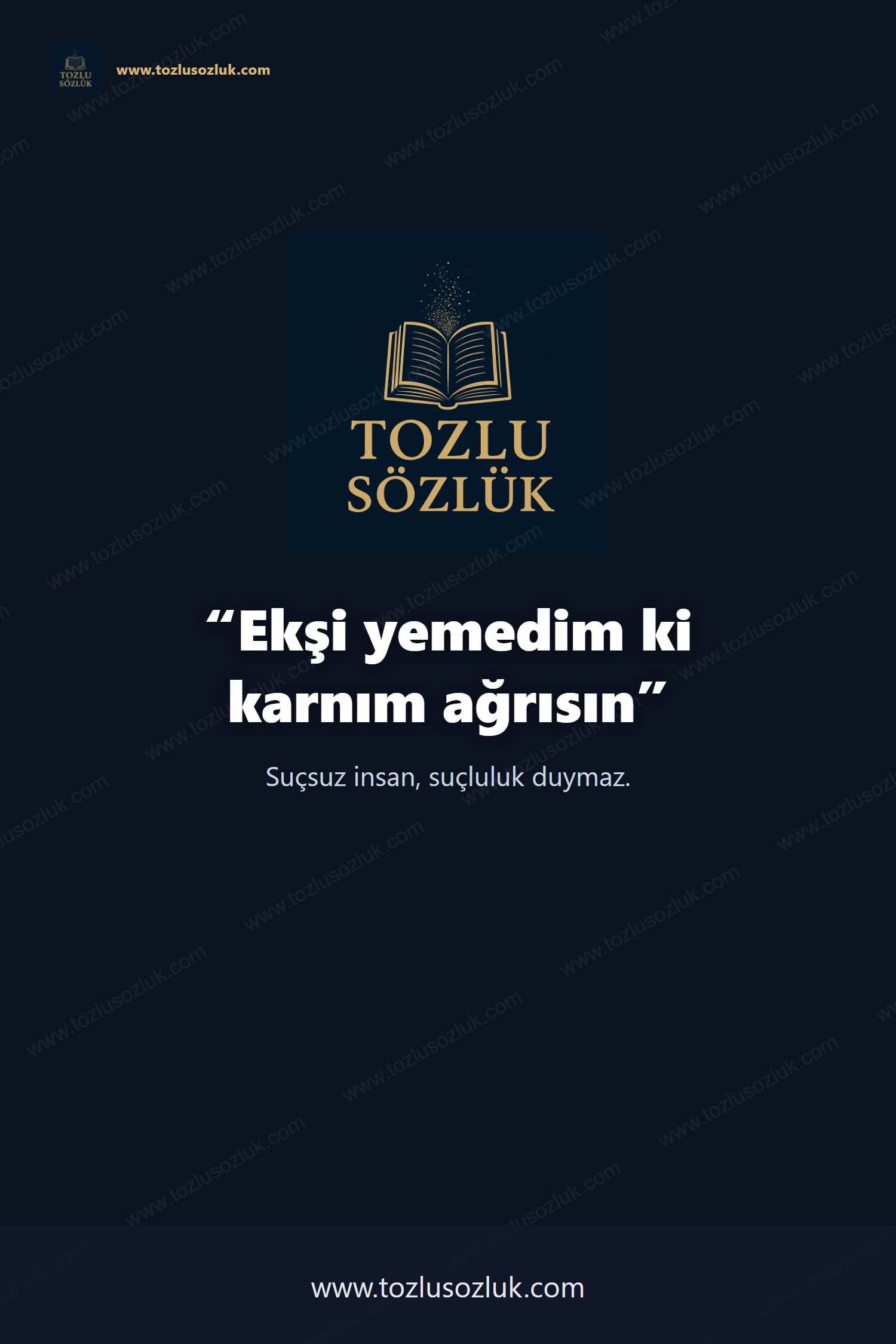 Ekşi yemedim ki karnım ağrısın Pinterest görseli