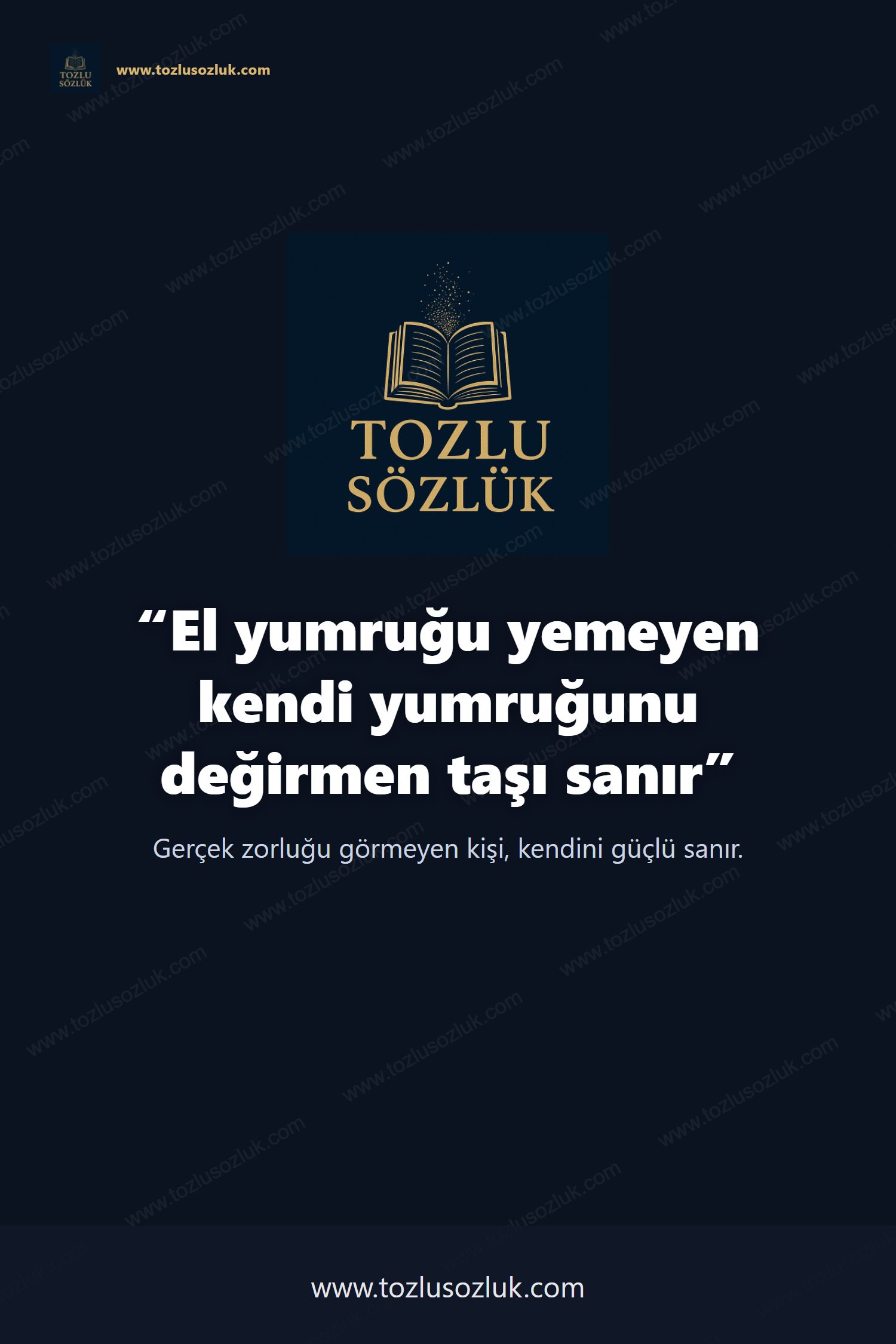 El yumruğu yemeyen kendi yumruğunu değirmen taşı sanır Pinterest görseli