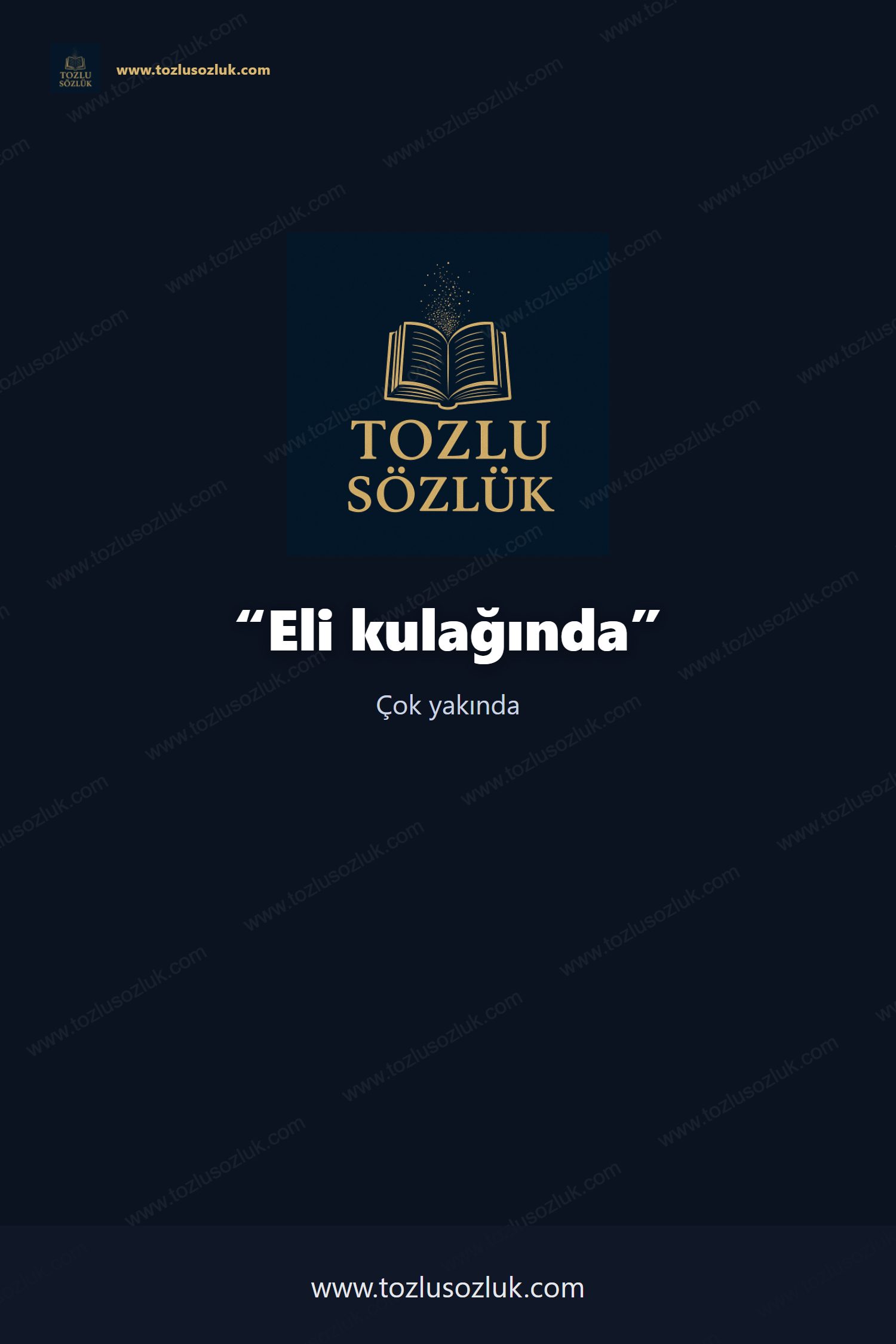 Eli kulağında Pinterest görseli