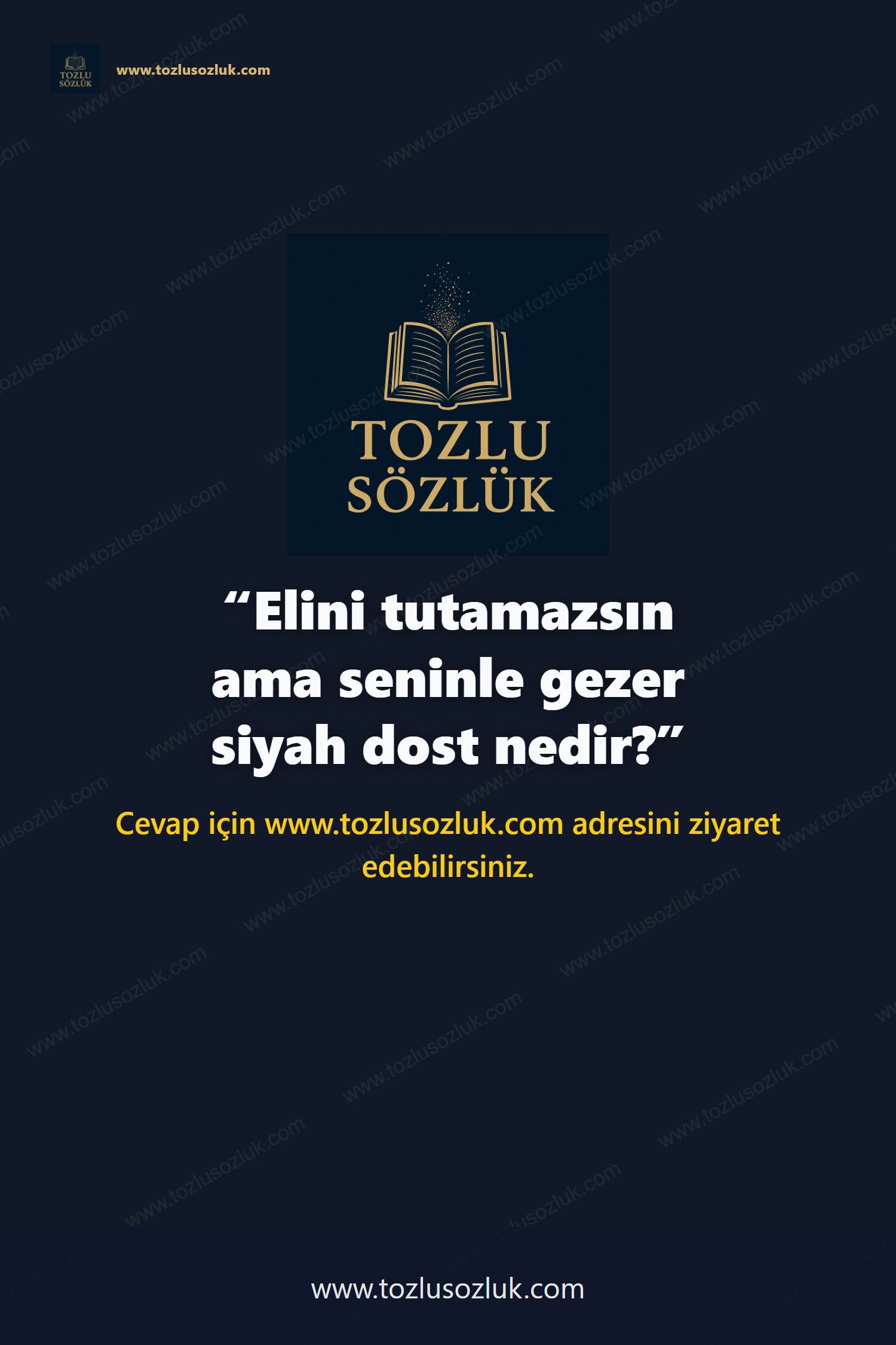 Elini tutamazsın ama seninle gezer siyah dost nedir? Pinterest görseli