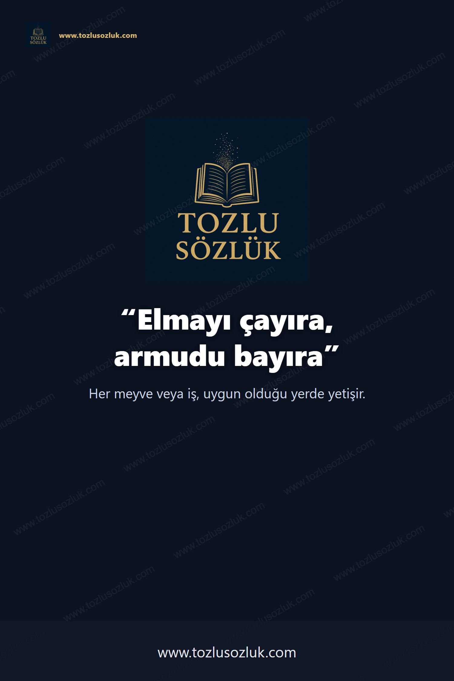 Elmayı çayıra, armudu bayıra Pinterest görseli