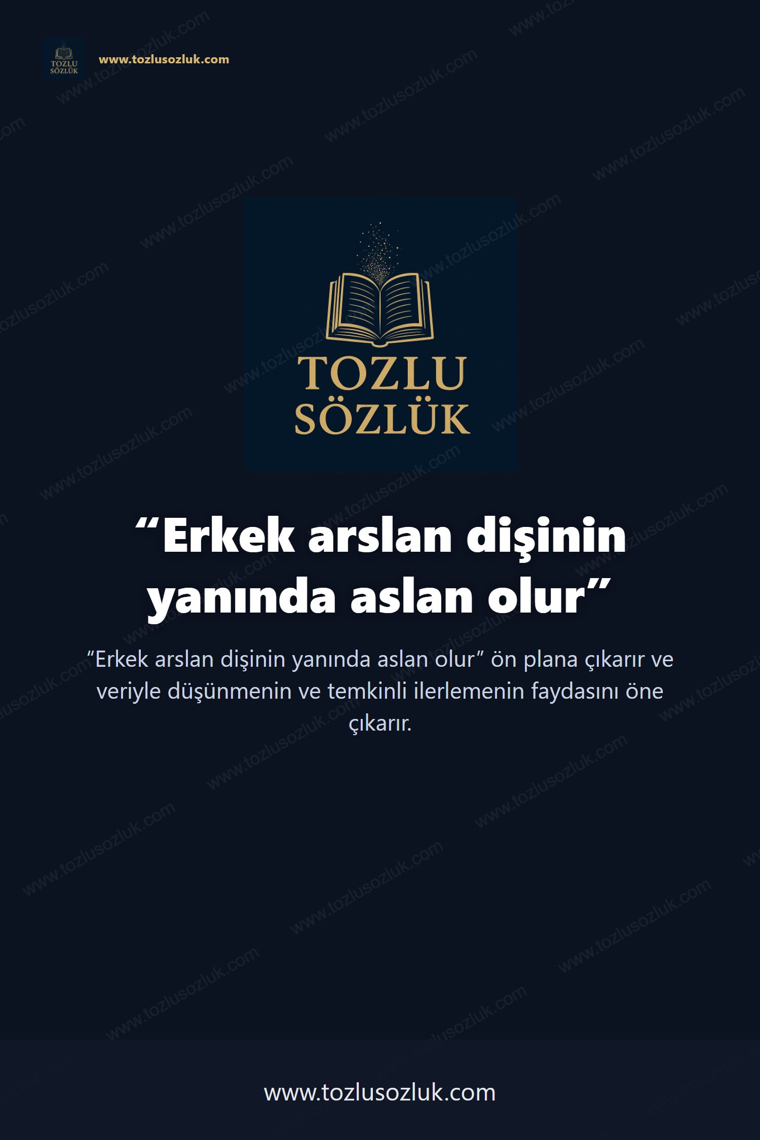 Erkek arslan dişinin yanında aslan olur Pinterest görseli