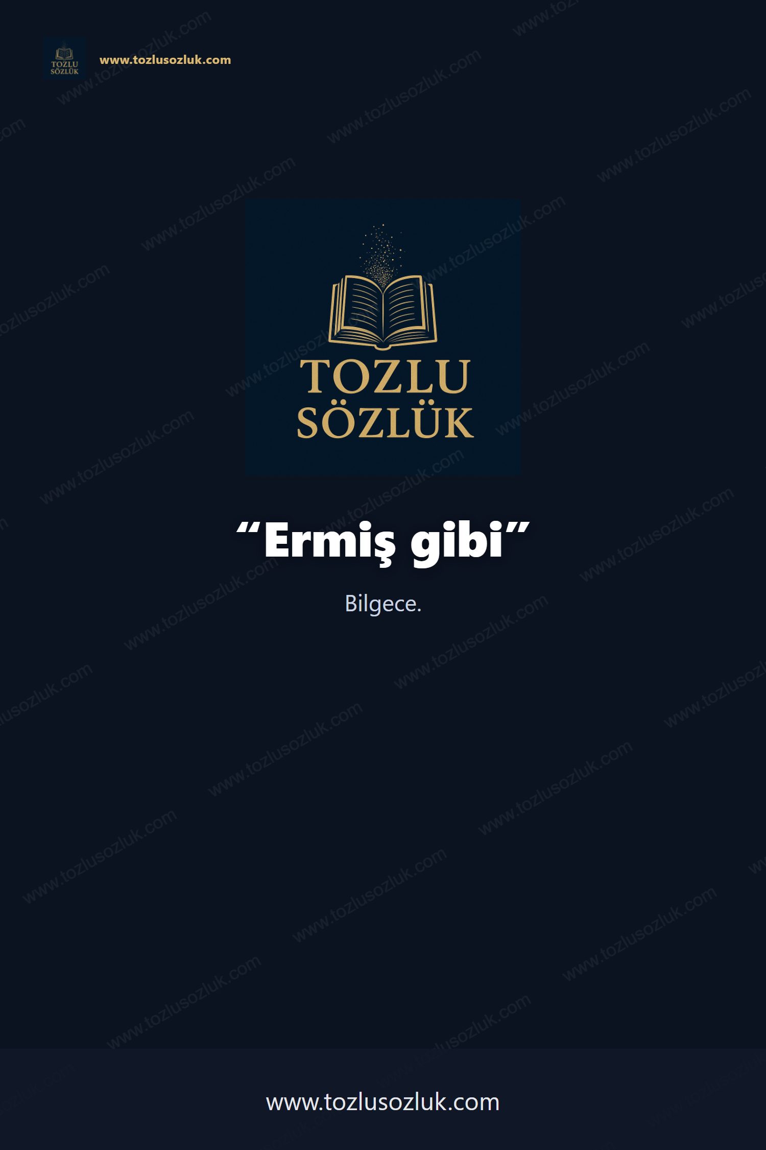 Ermiş gibi Pinterest görseli