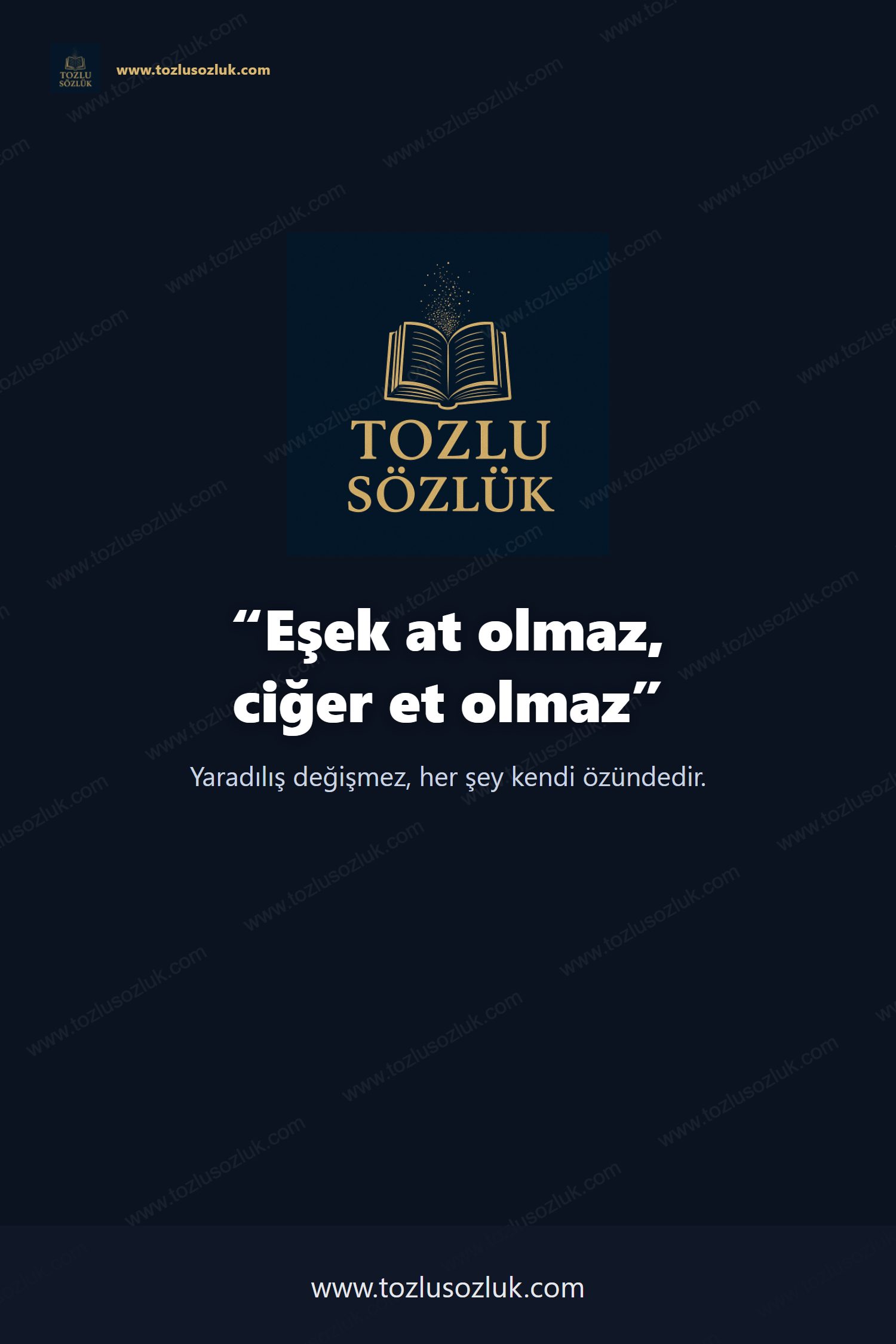 Eşek at olmaz, ciğer et olmaz Pinterest görseli