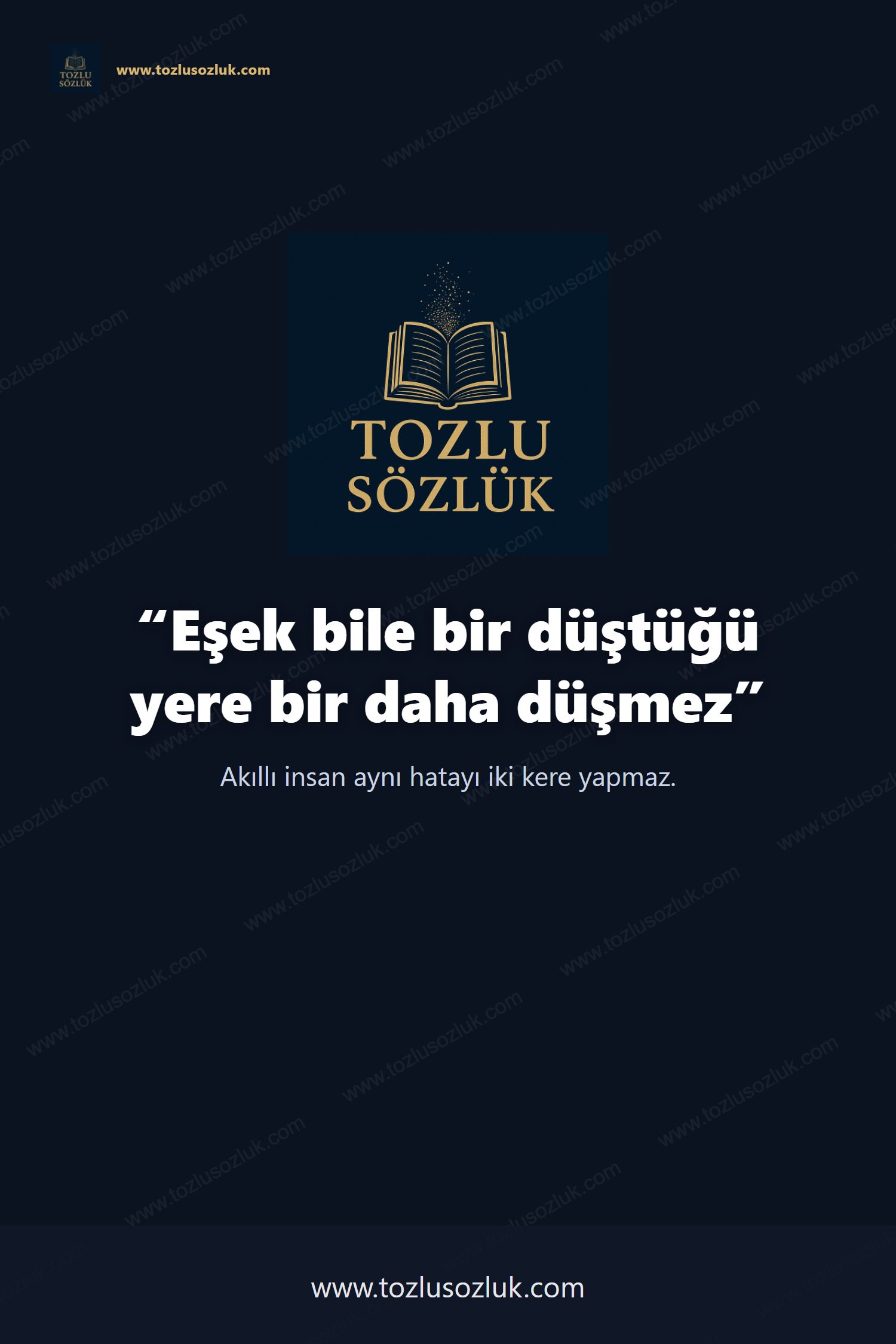 Eşek bile bir düştüğü yere bir daha düşmez Pinterest görseli