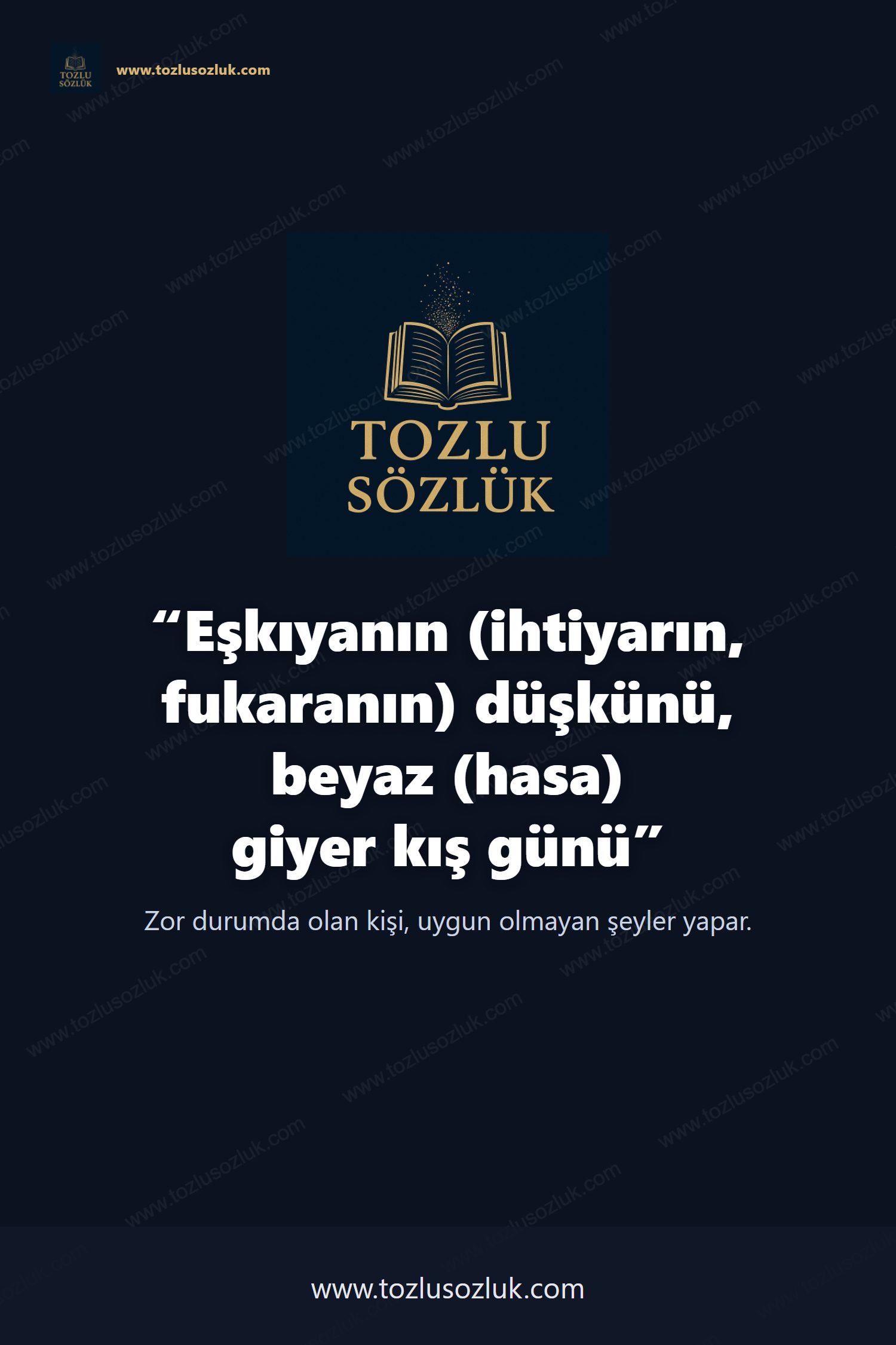 Eşkıyanın (ihtiyarın, fukaranın) düşkünü, beyaz (hasa) giyer kış günü Pinterest görseli