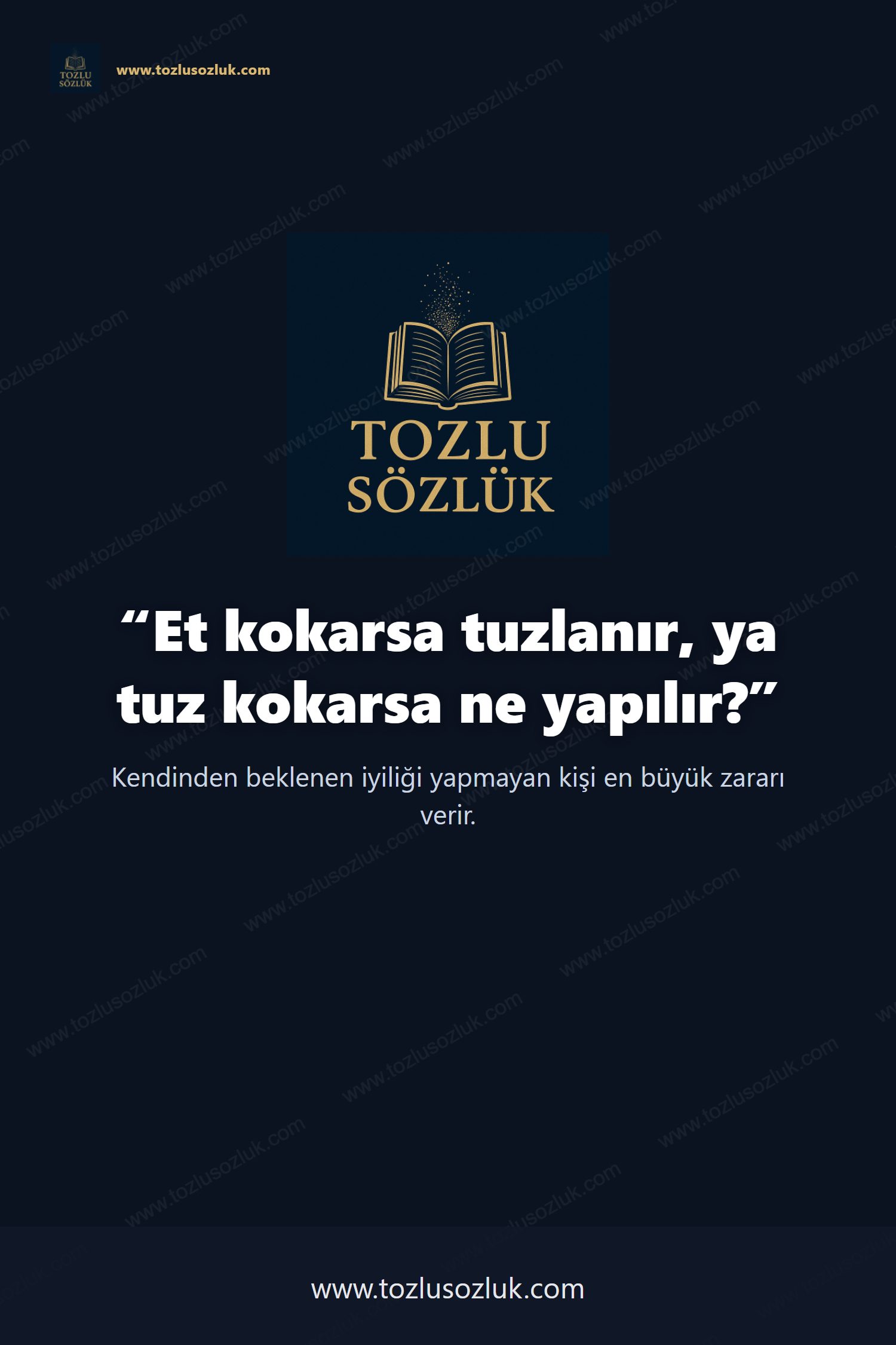 Et kokarsa tuzlanır, ya tuz kokarsa ne yapılır? Pinterest görseli