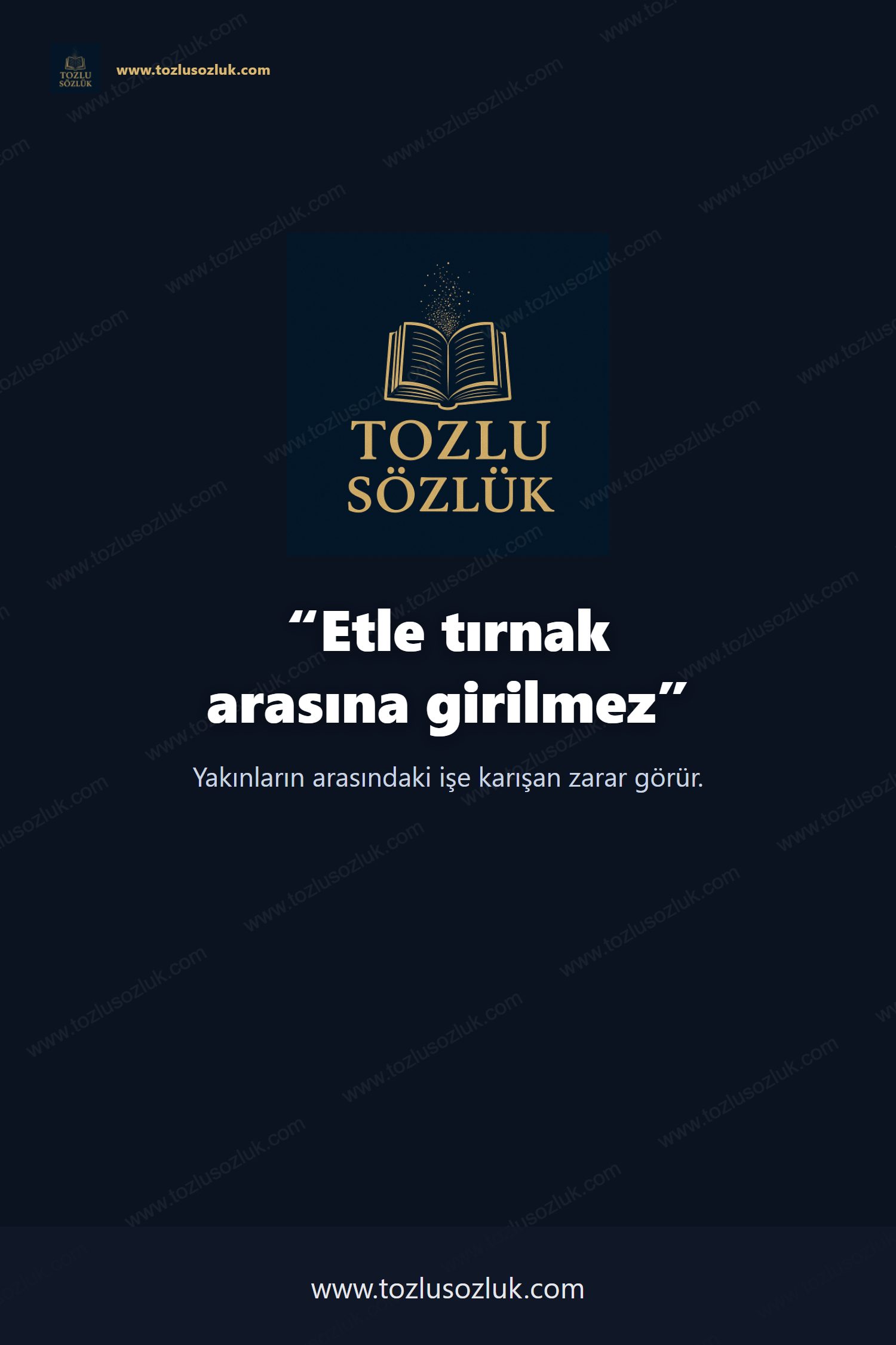 Etle tırnak arasına girilmez Pinterest görseli