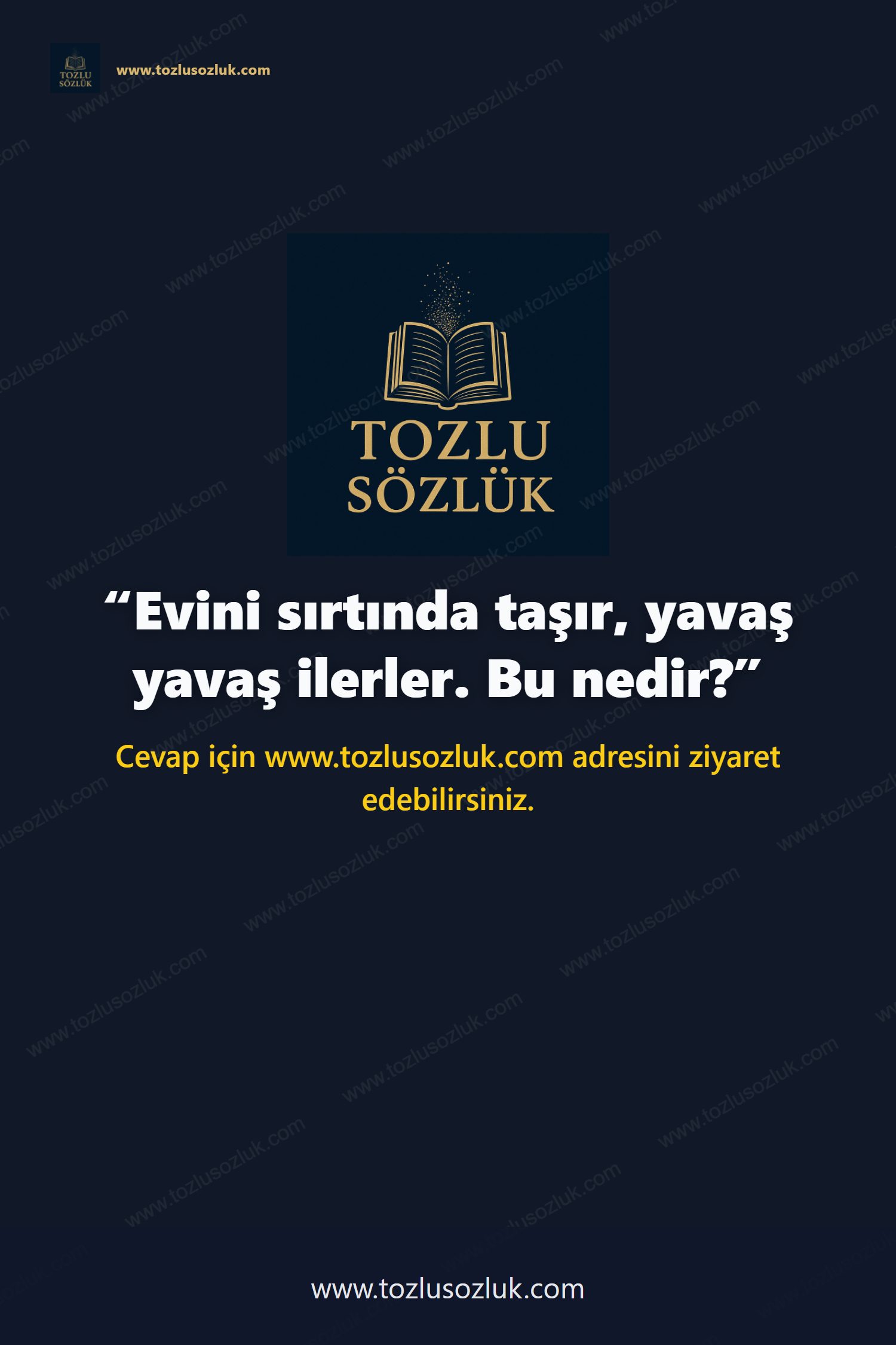 Evini sırtında taşır, yavaş yavaş ilerler. Bu nedir? Pinterest görseli