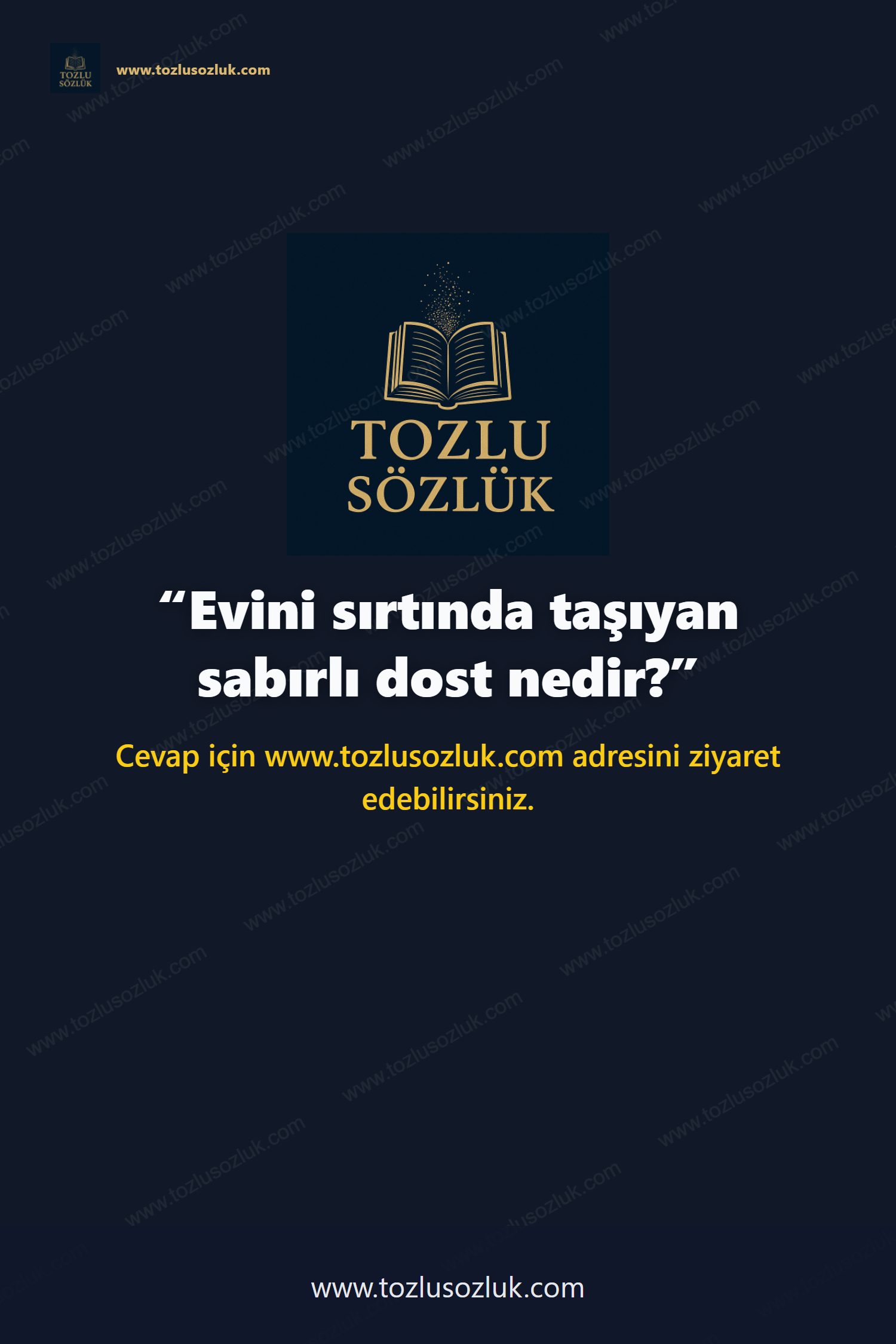 Evini sırtında taşıyan sabırlı dost nedir? Pinterest görseli