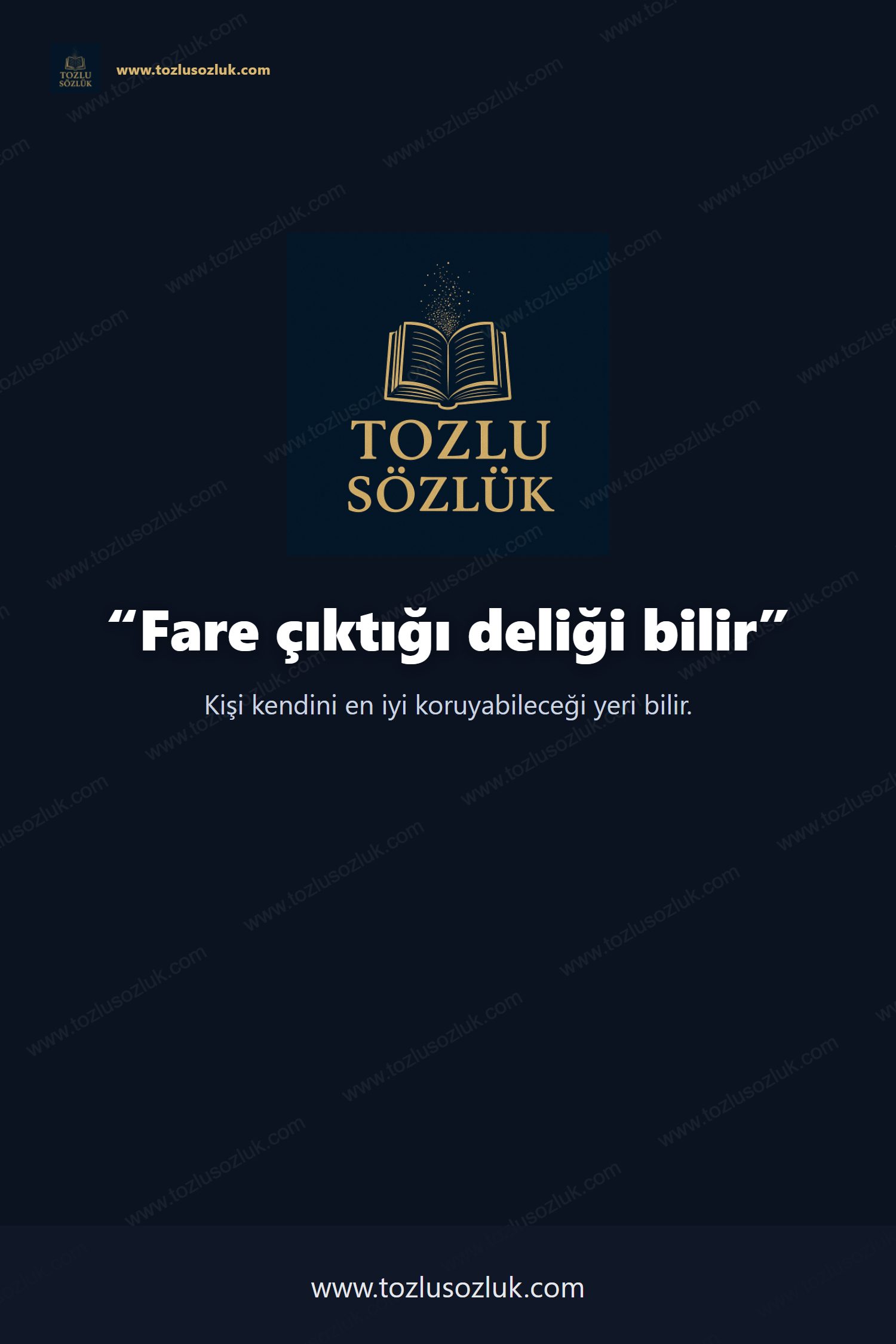 Fare çıktığı deliği bilir Pinterest görseli