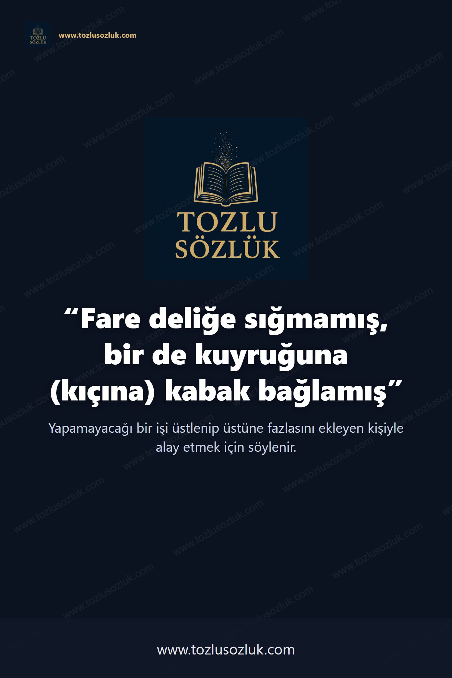 Fare deliğe sığmamış, bir de kuyruğuna (kıçına) kabak bağlamış Pinterest görseli