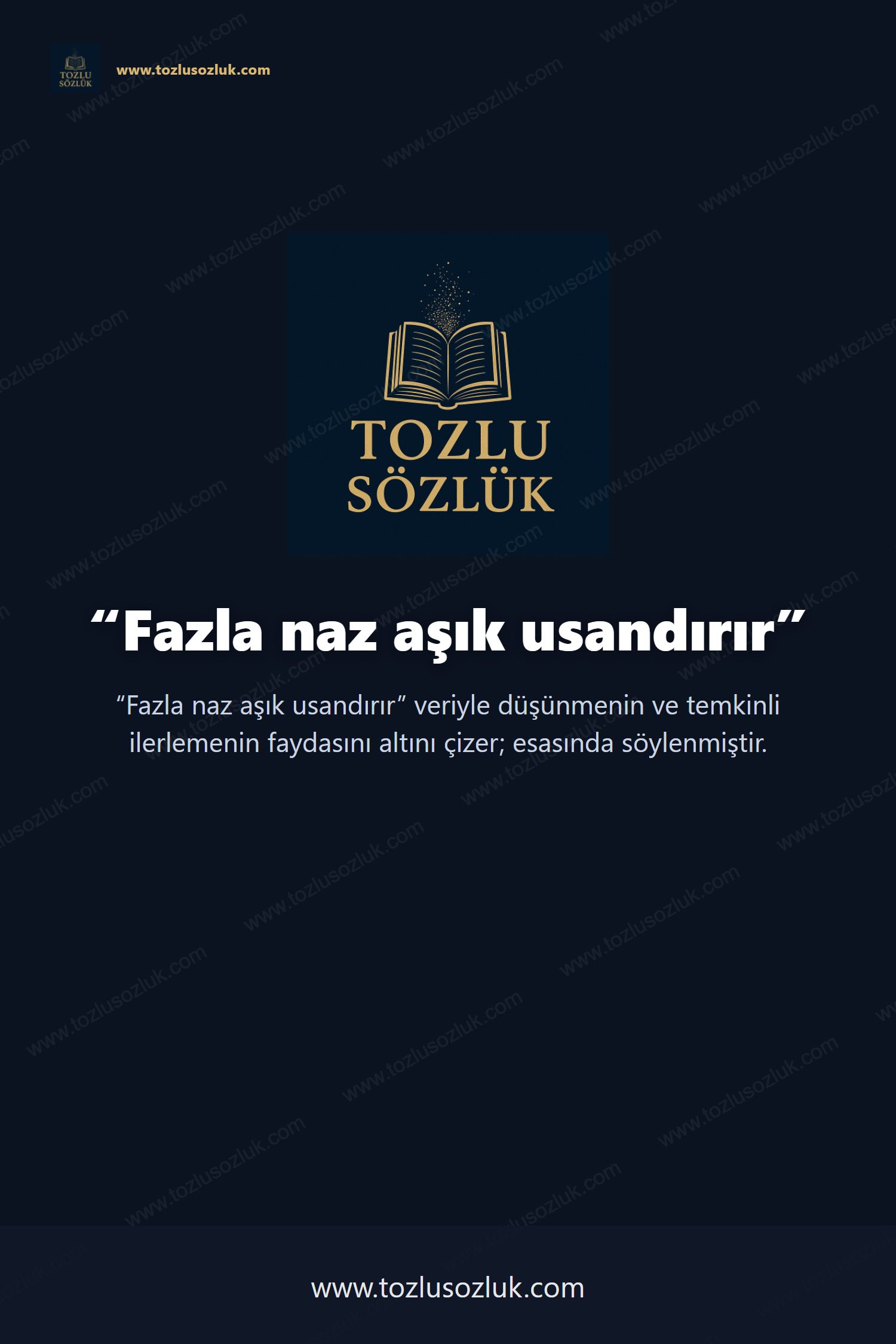 Fazla naz aşık usandırır Pinterest görseli