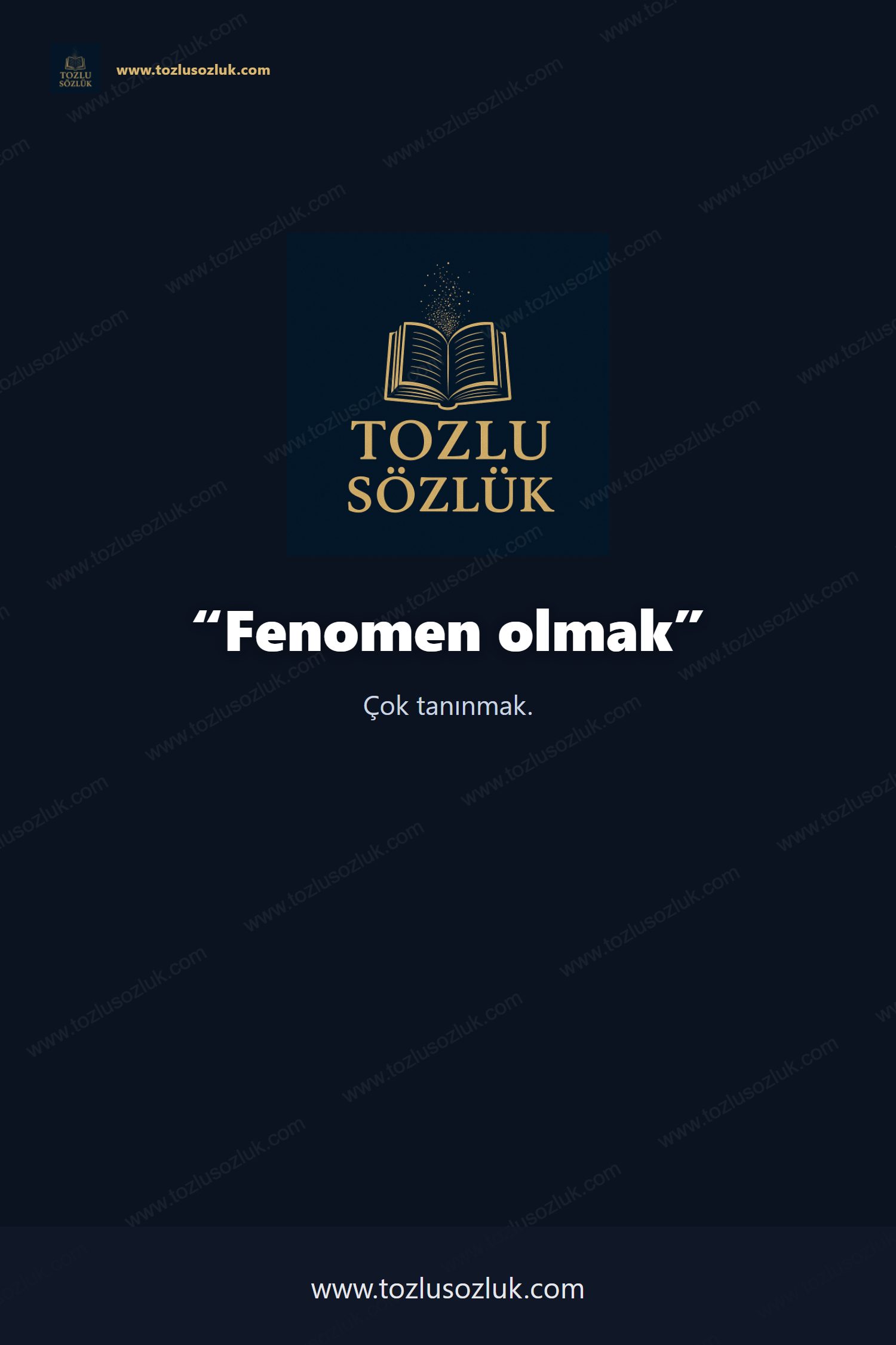 Fenomen olmak Pinterest görseli