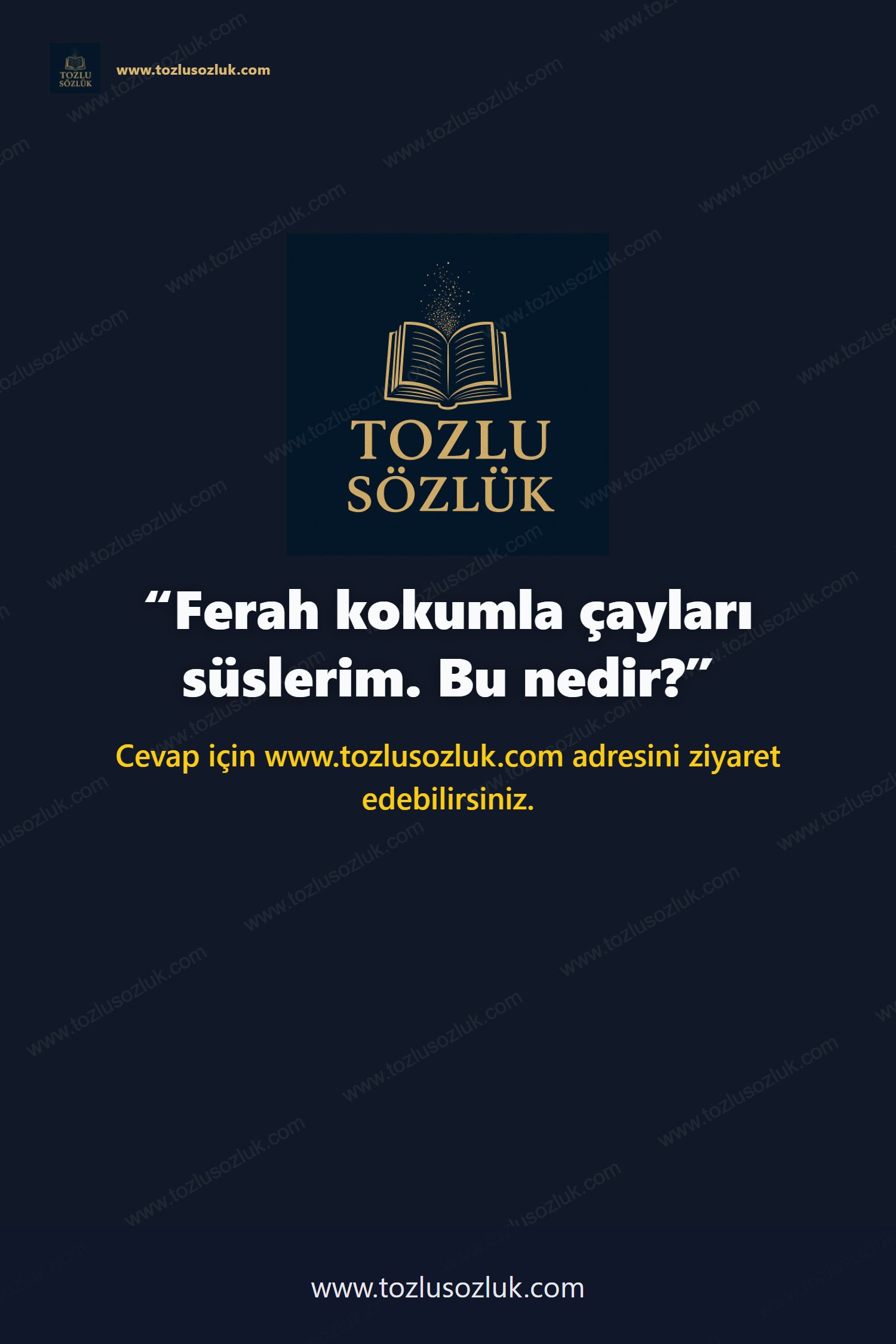 Ferah kokumla çayları süslerim. Bu nedir? Pinterest görseli