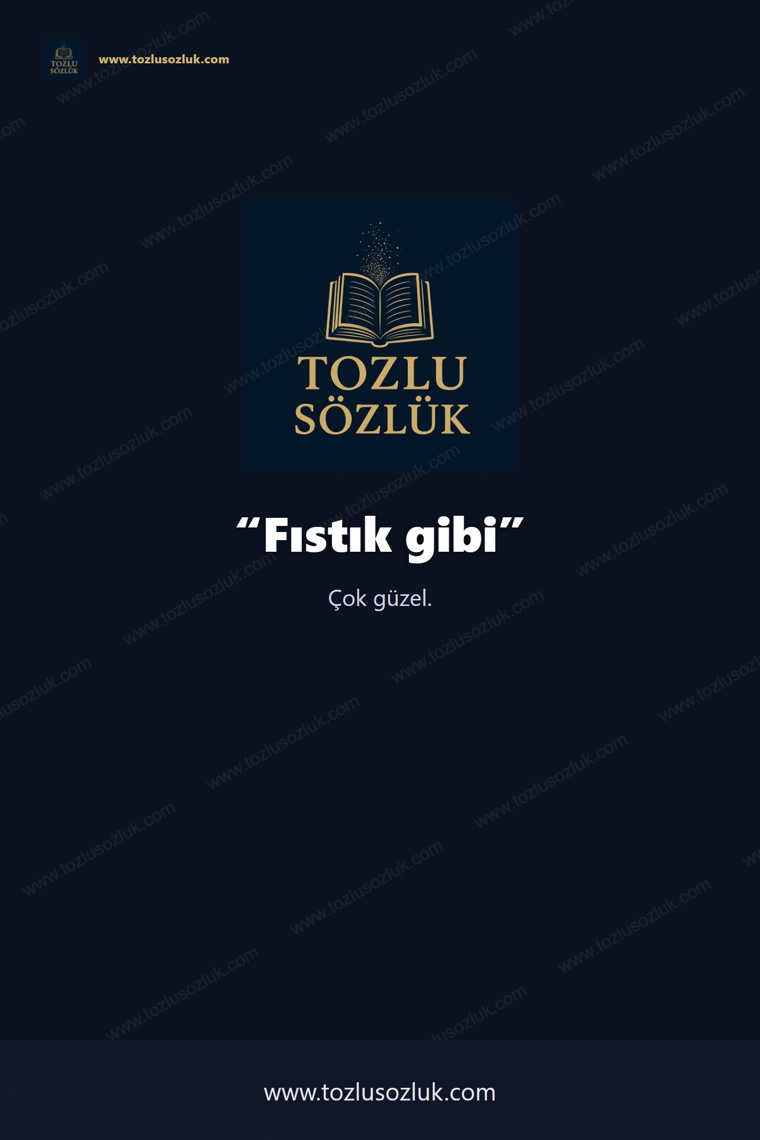 Fıstık gibi Pinterest görseli