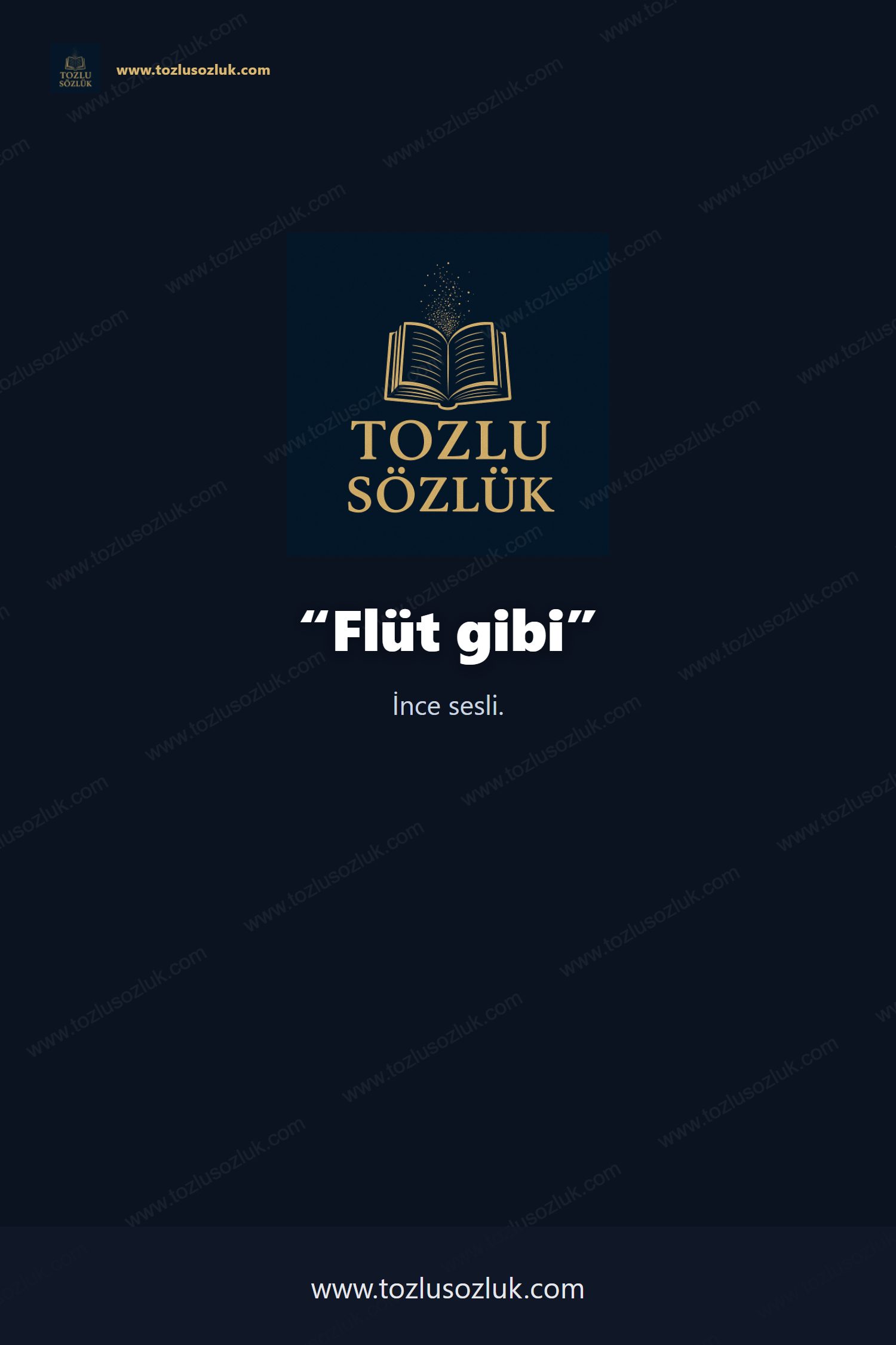 Flüt gibi Pinterest görseli