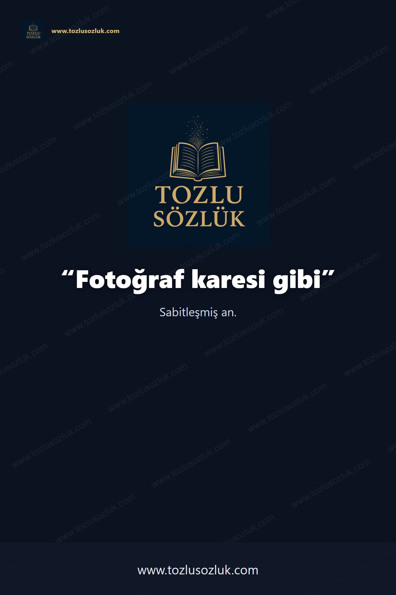 Fotoğraf karesi gibi Pinterest görseli