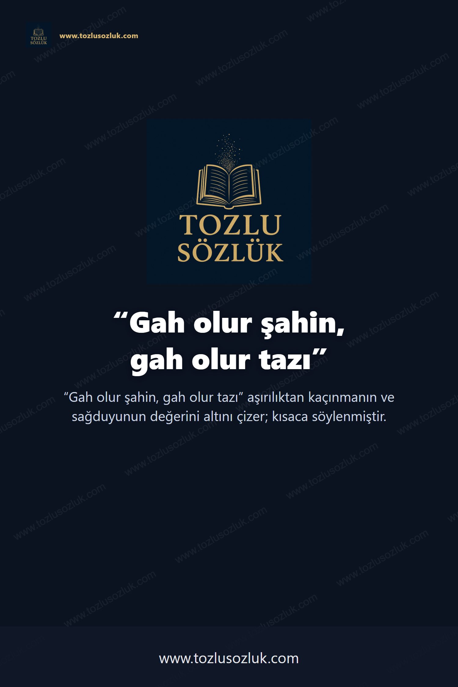 Gah olur şahin, gah olur tazı Pinterest görseli