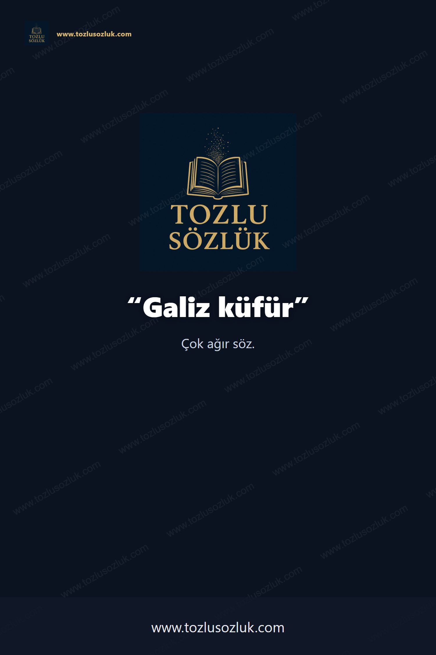 Galiz küfür Pinterest görseli