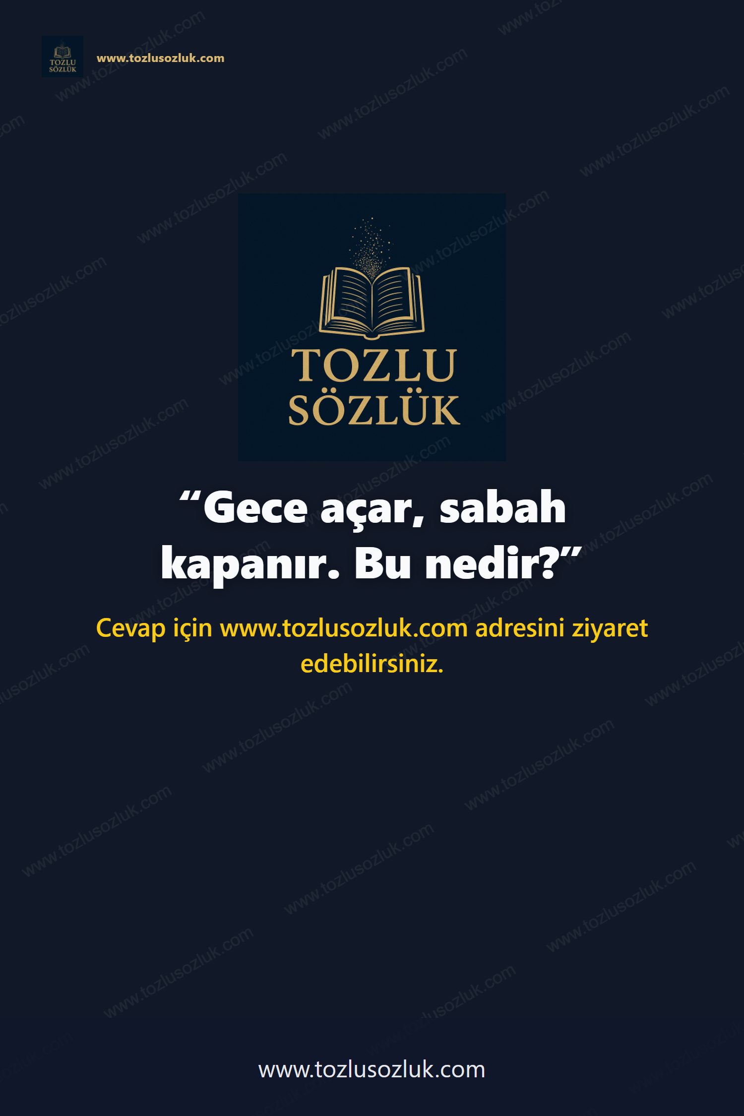 Gece açar, sabah kapanır. Bu nedir? Pinterest görseli