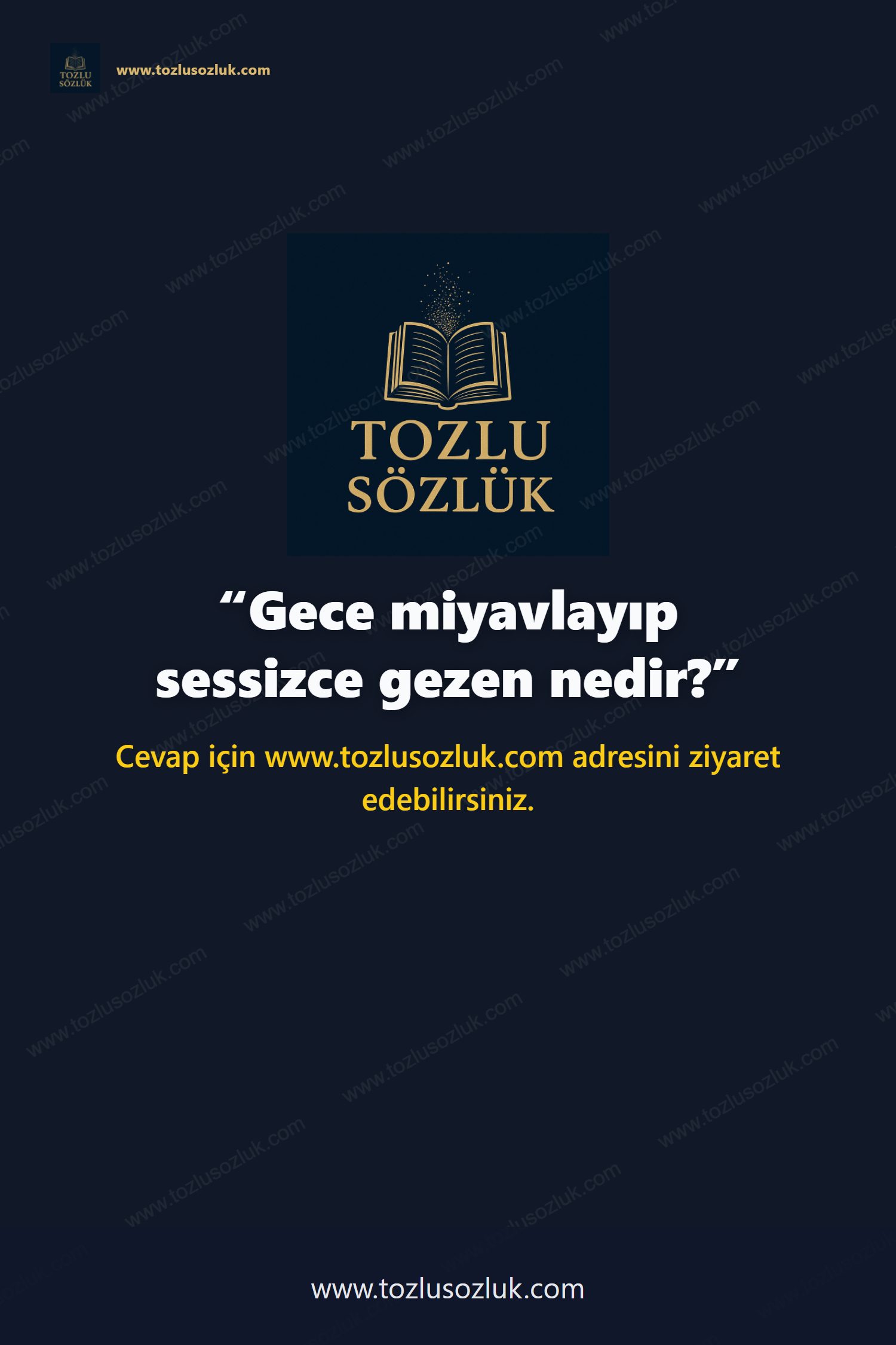 Gece miyavlayıp sessizce gezen nedir? Pinterest görseli
