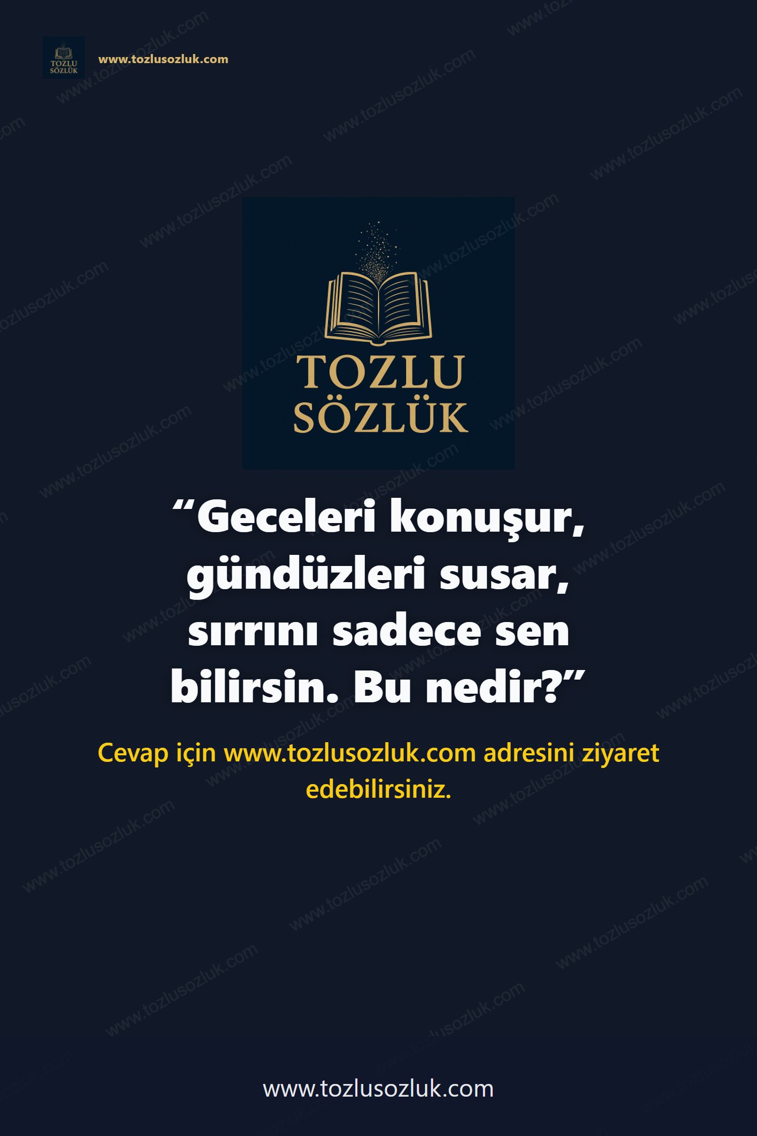 Geceleri konuşur, gündüzleri susar, sırrını sadece sen bilirsin. Bu nedir? Pinterest görseli