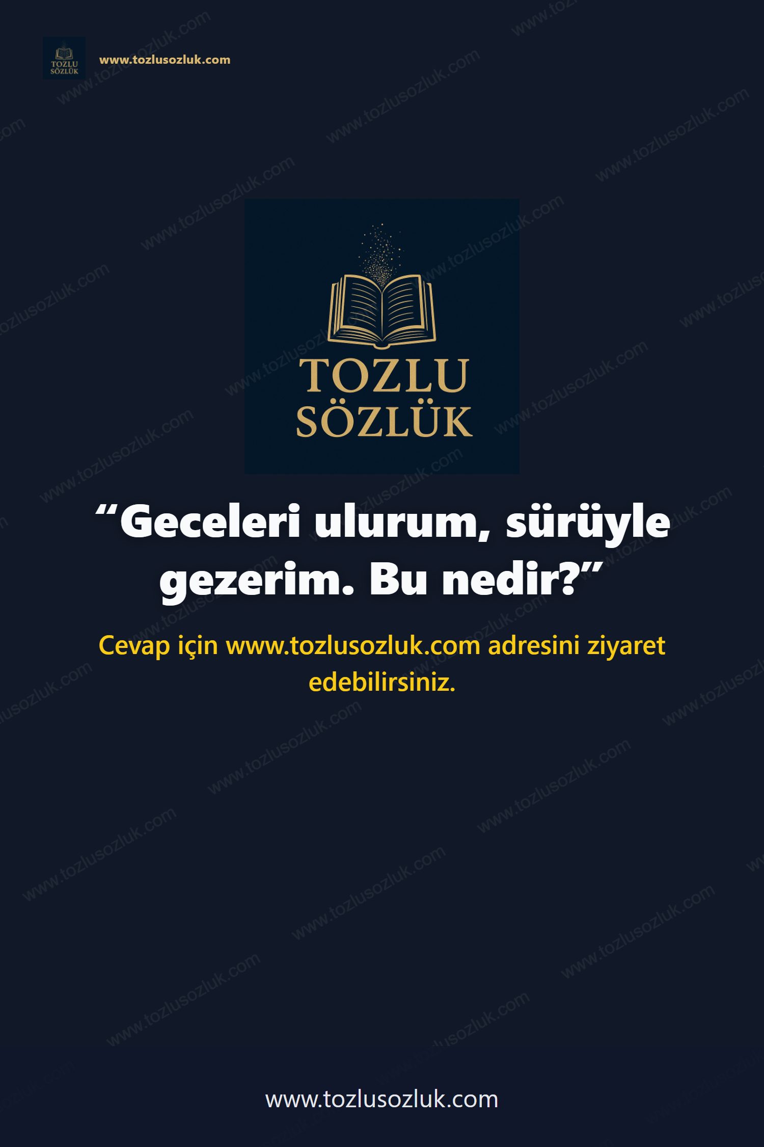 Geceleri ulurum, sürüyle gezerim. Bu nedir? Pinterest görseli