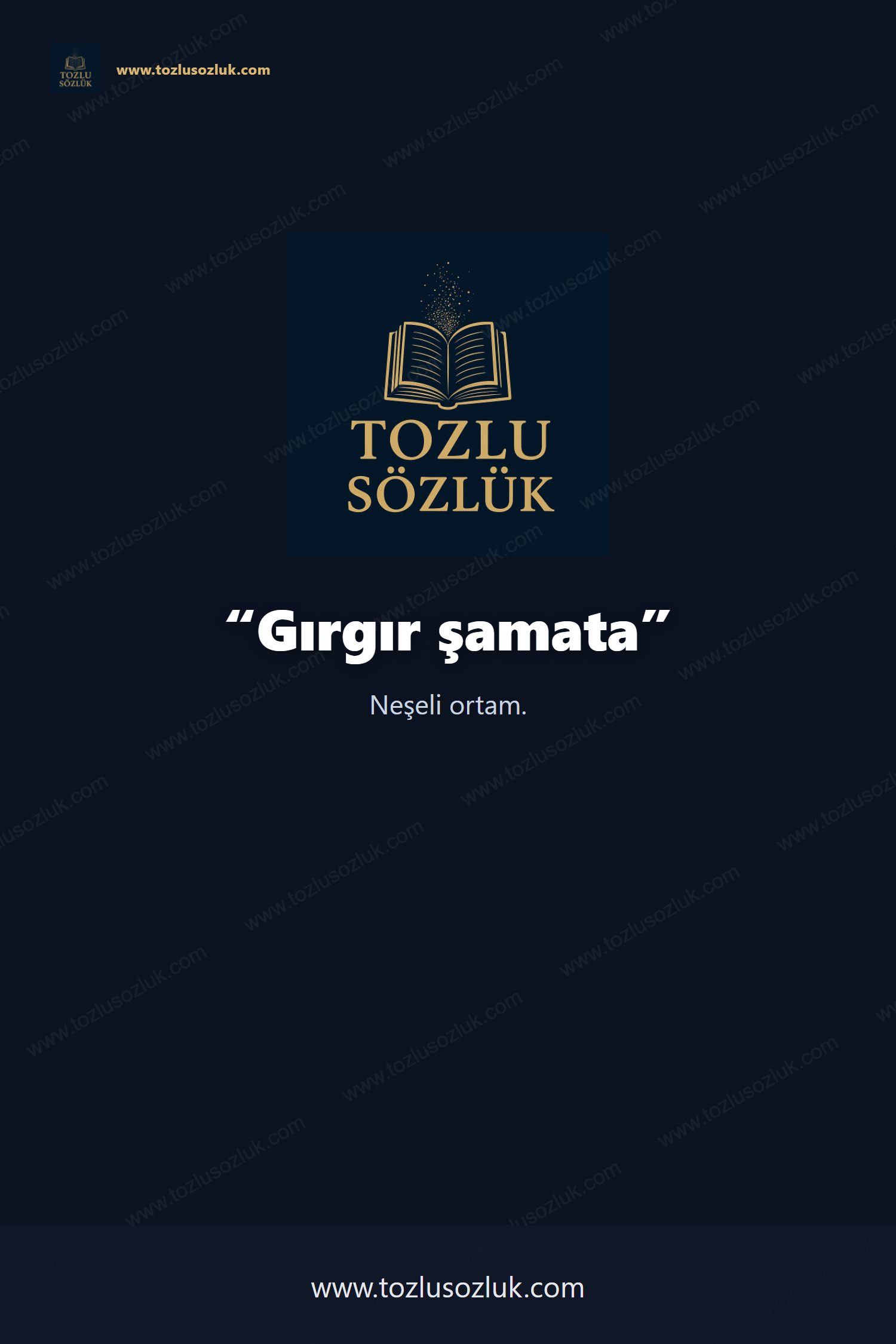 Gırgır şamata Pinterest görseli