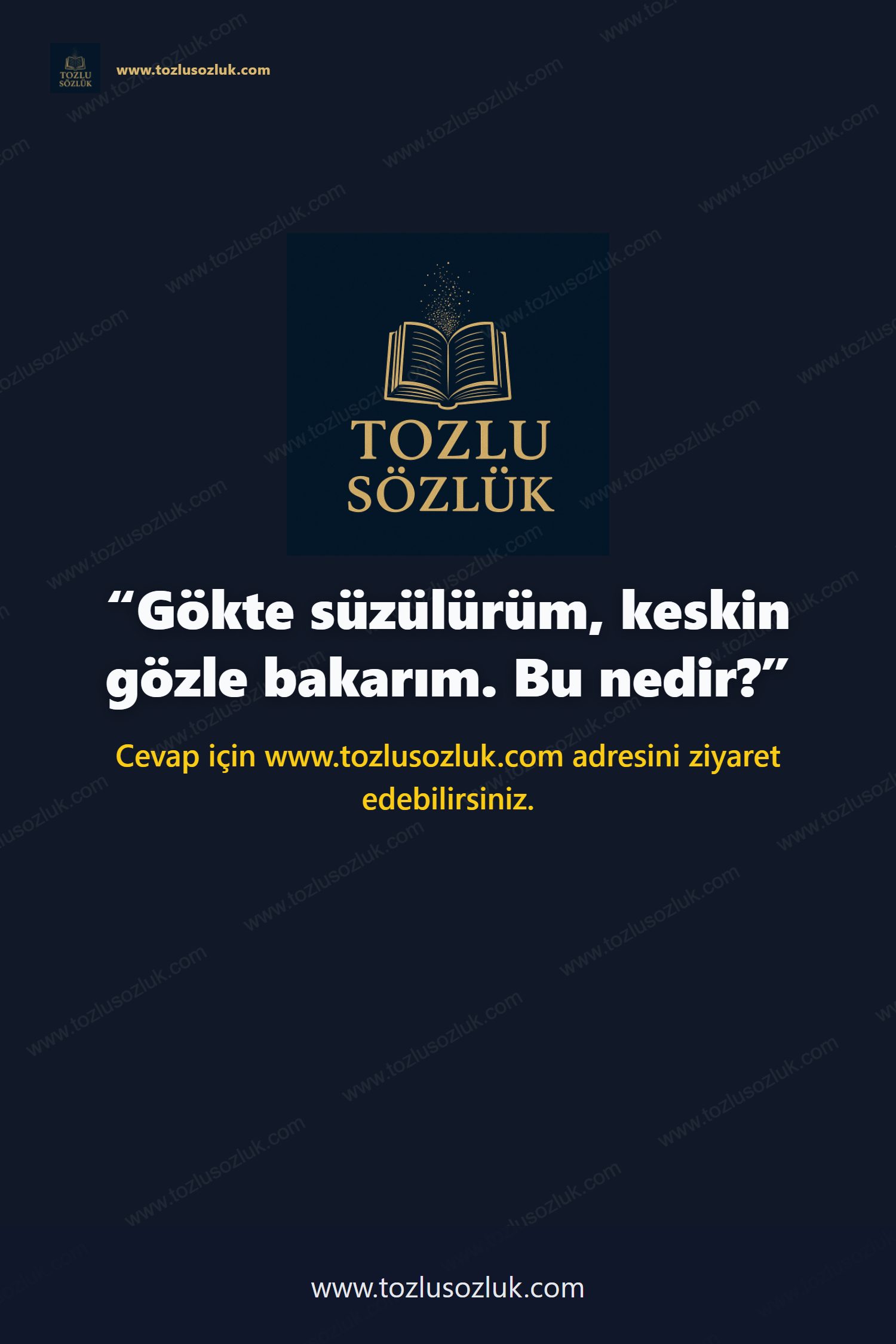 Gökte süzülürüm, keskin gözle bakarım. Bu nedir? Pinterest görseli