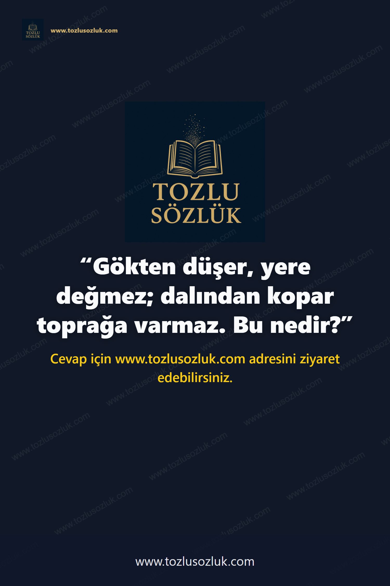 Gökten düşer, yere değmez; dalından kopar toprağa varmaz. Bu nedir? Pinterest görseli