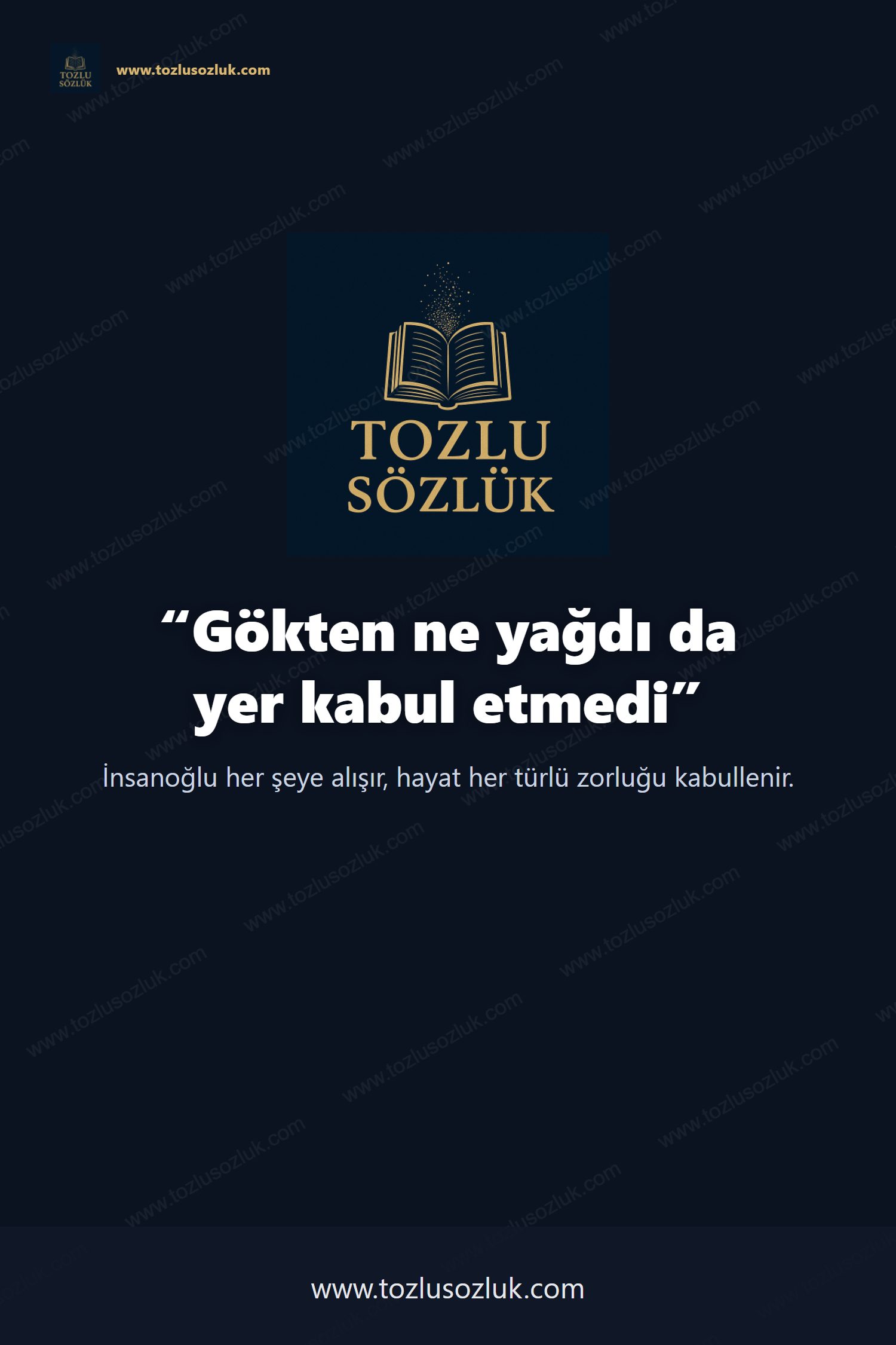 Gökten ne yağdı da yer kabul etmedi Pinterest görseli